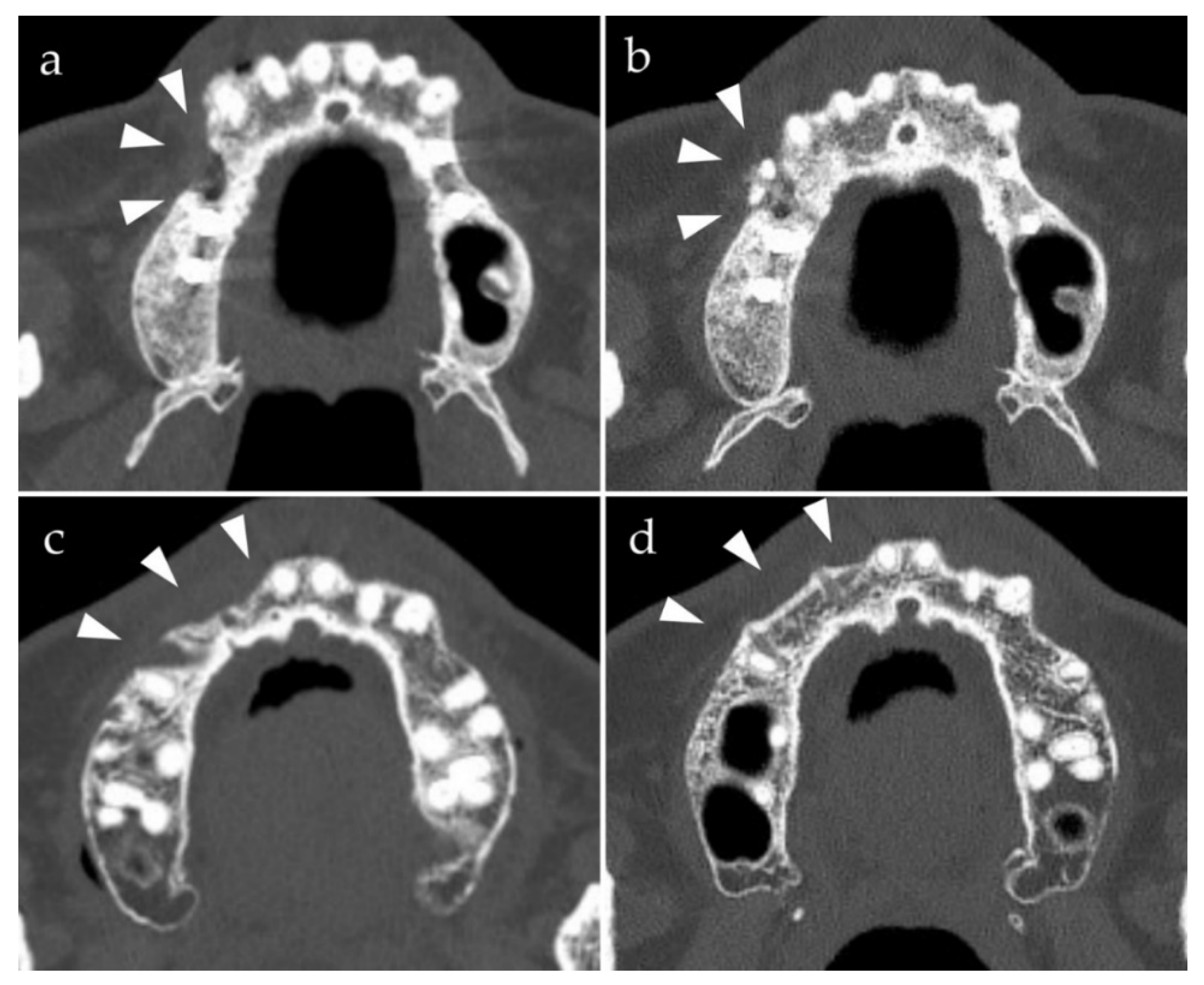 Materials 14 03286 g001