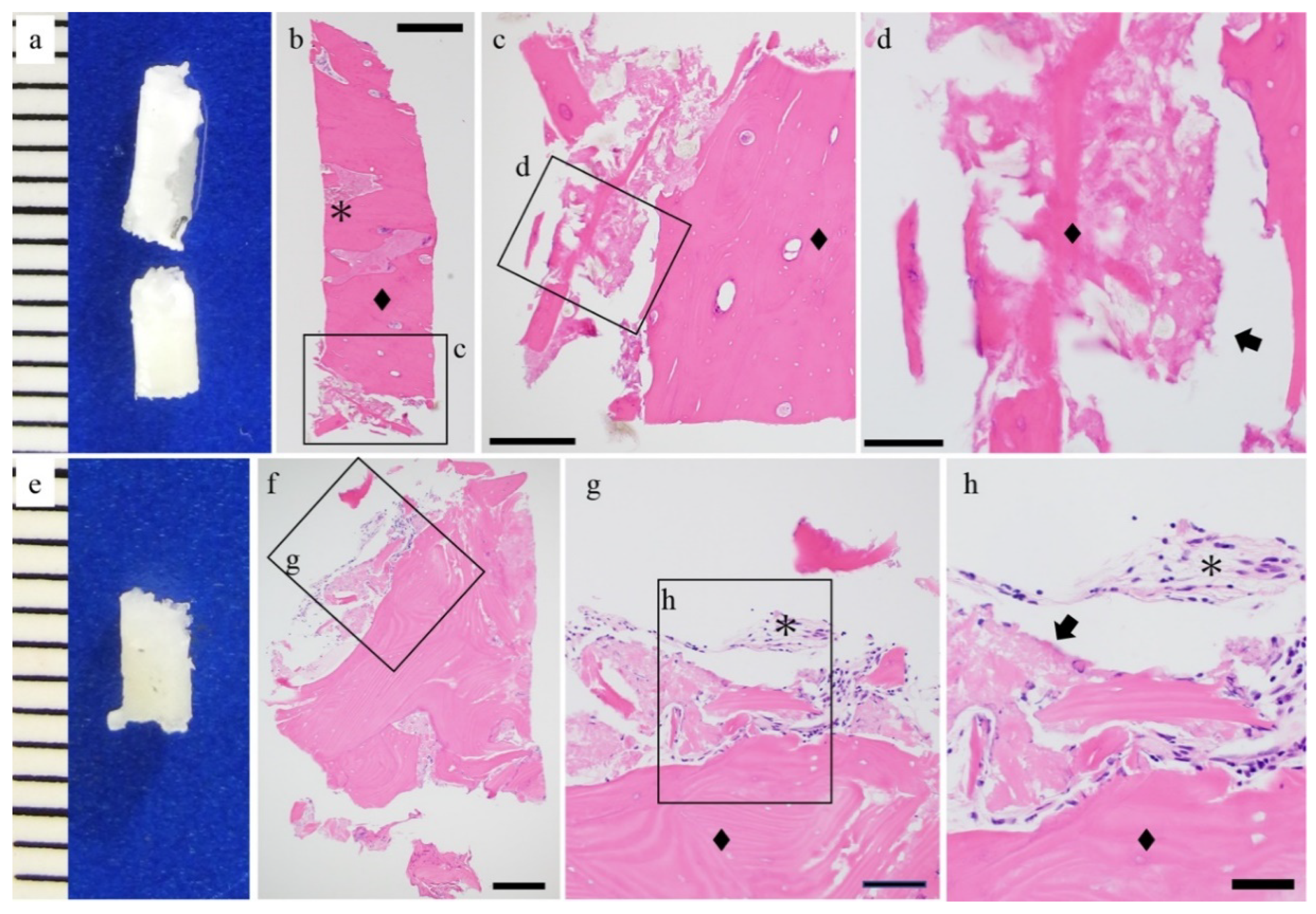 Materials 14 03286 g002