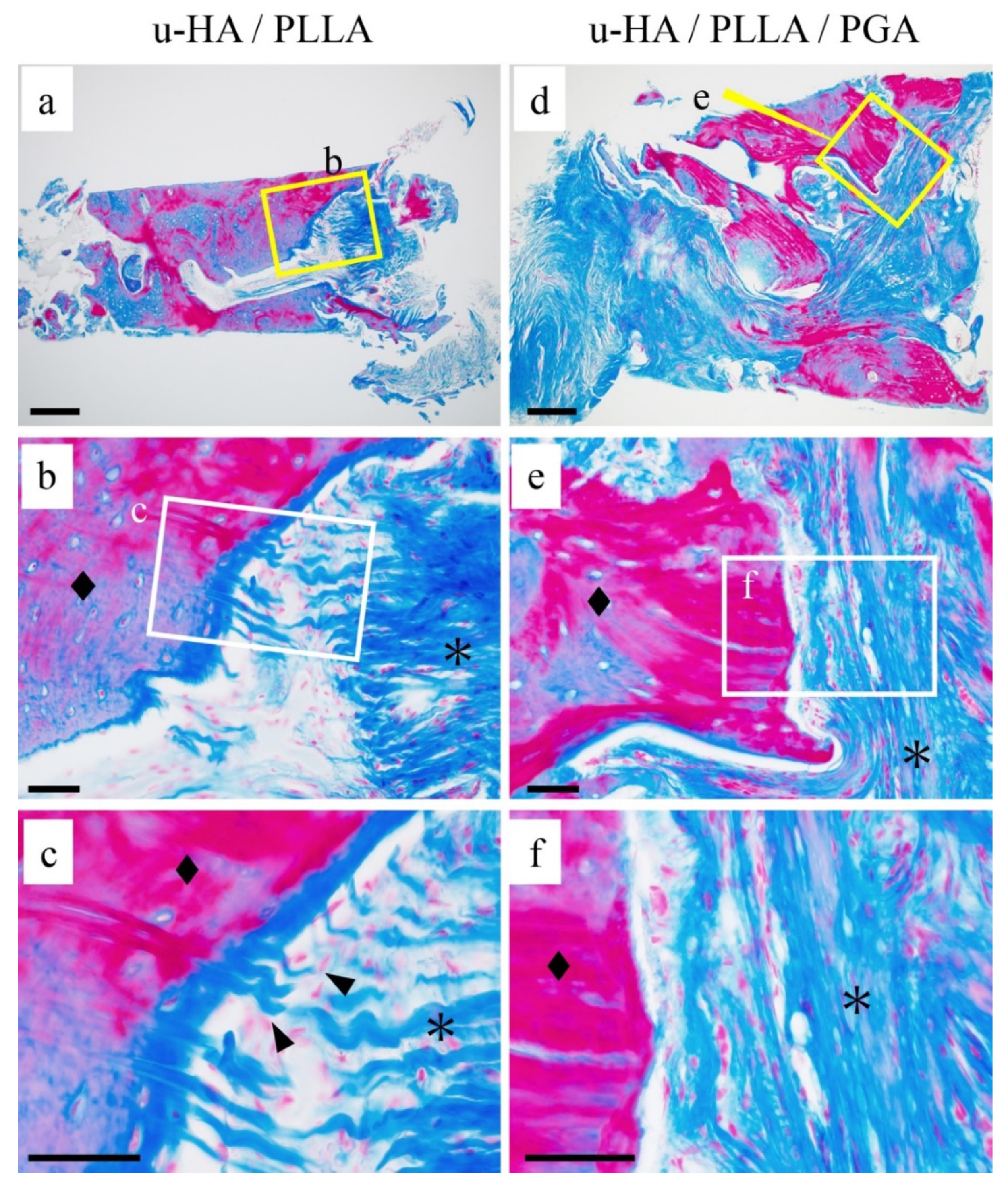 Materials 14 03286 g004