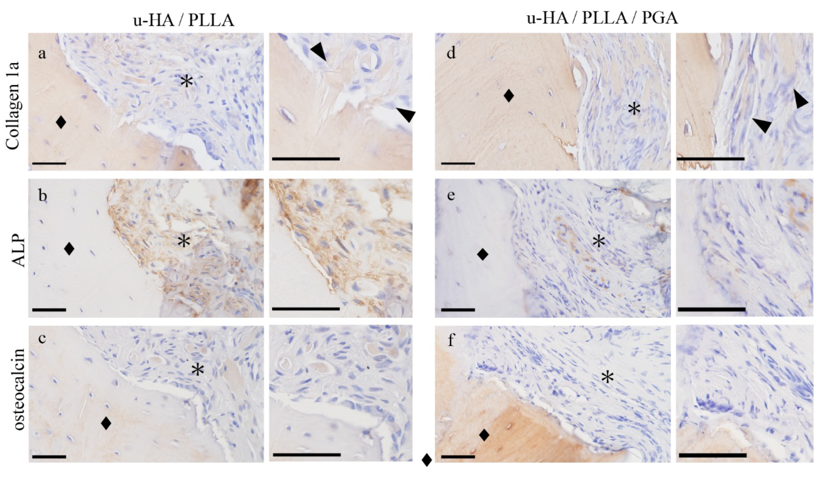 Materials 14 03286 g005