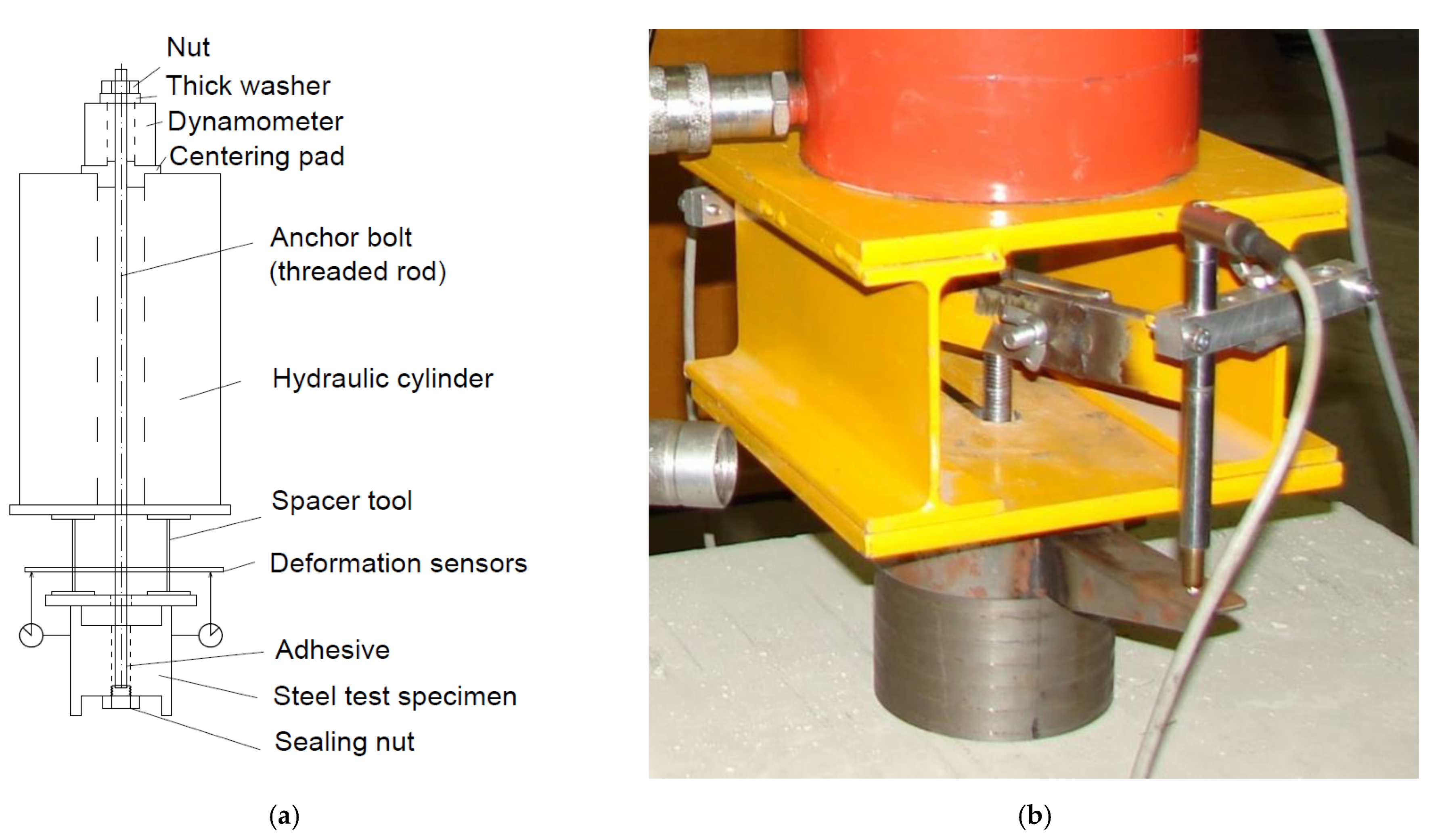 Materials 14 03298 g005