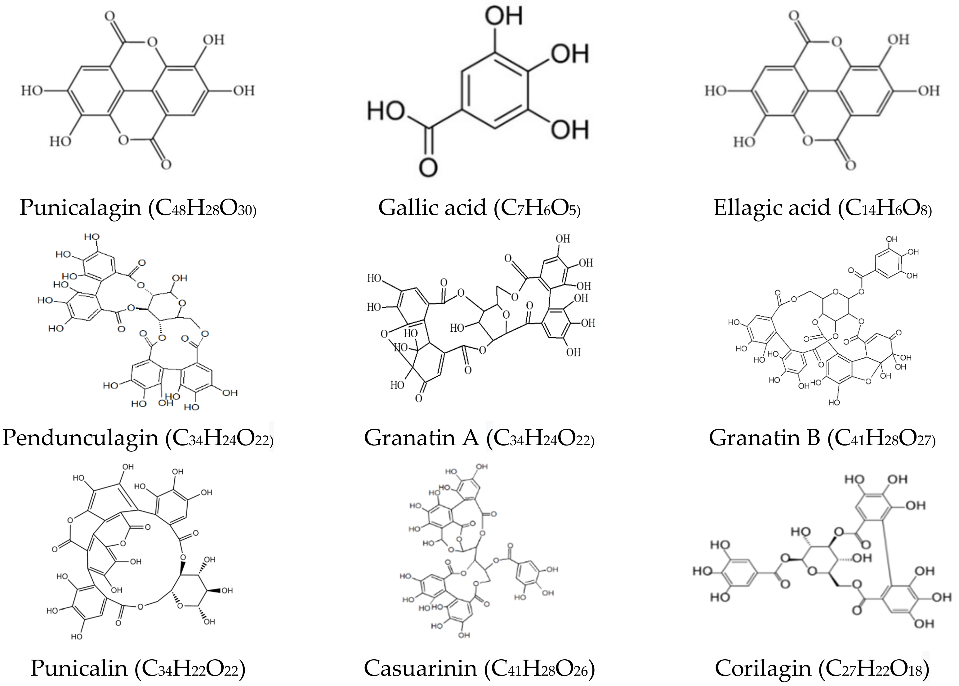 Materials 14 03305 g001 Materials 14 03305 g001