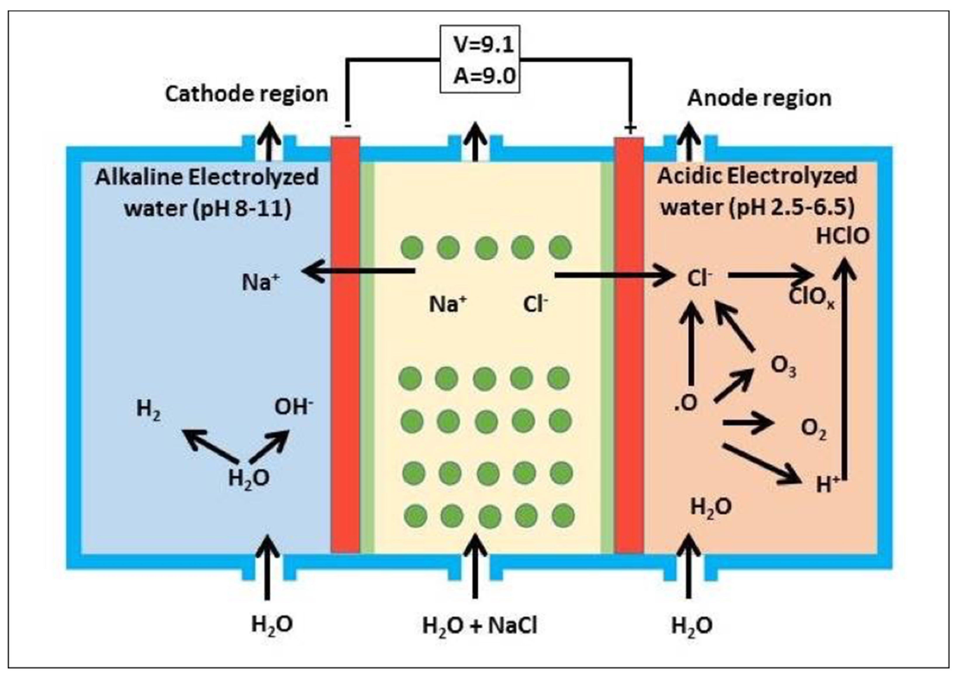 Materials 14 03347 g001