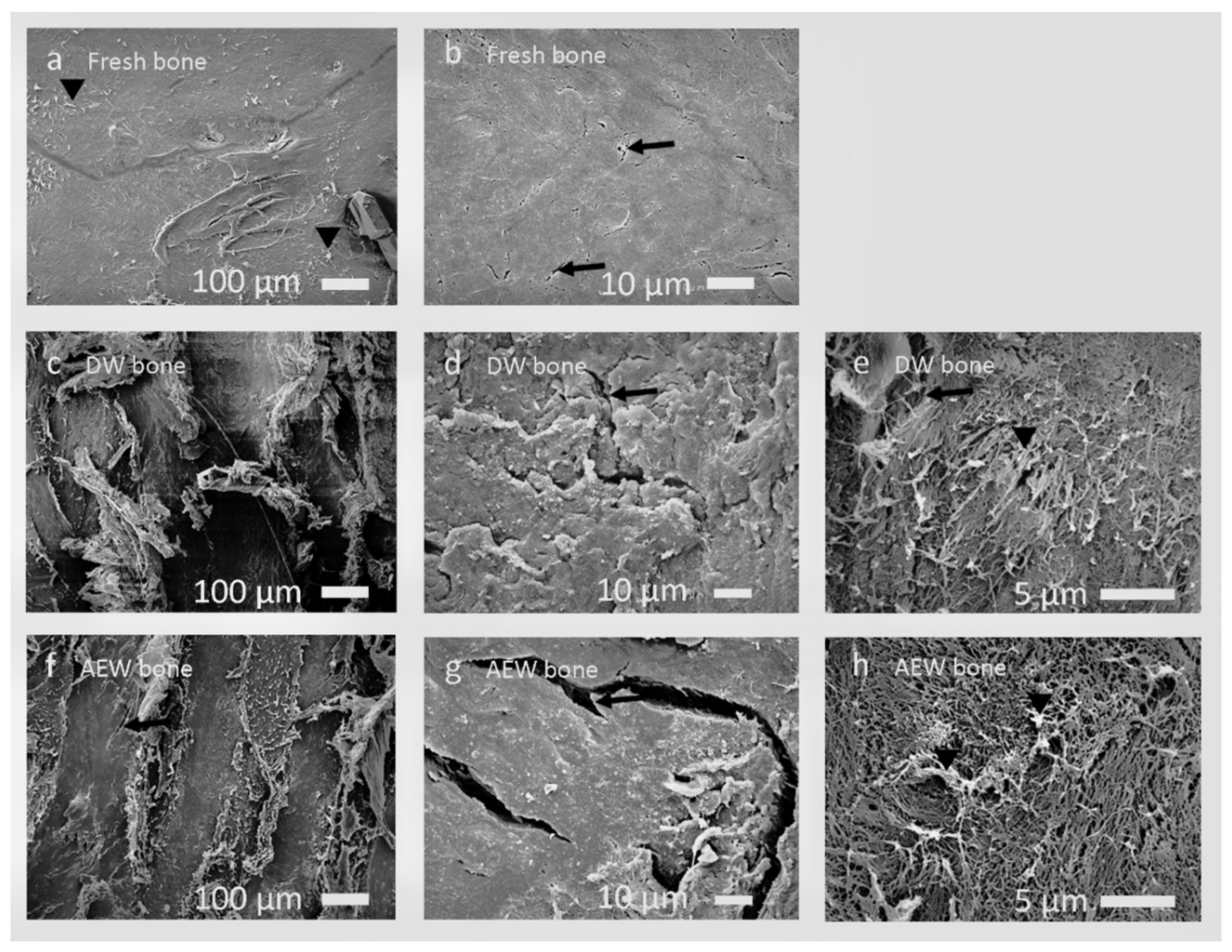 Materials 14 03347 g003
