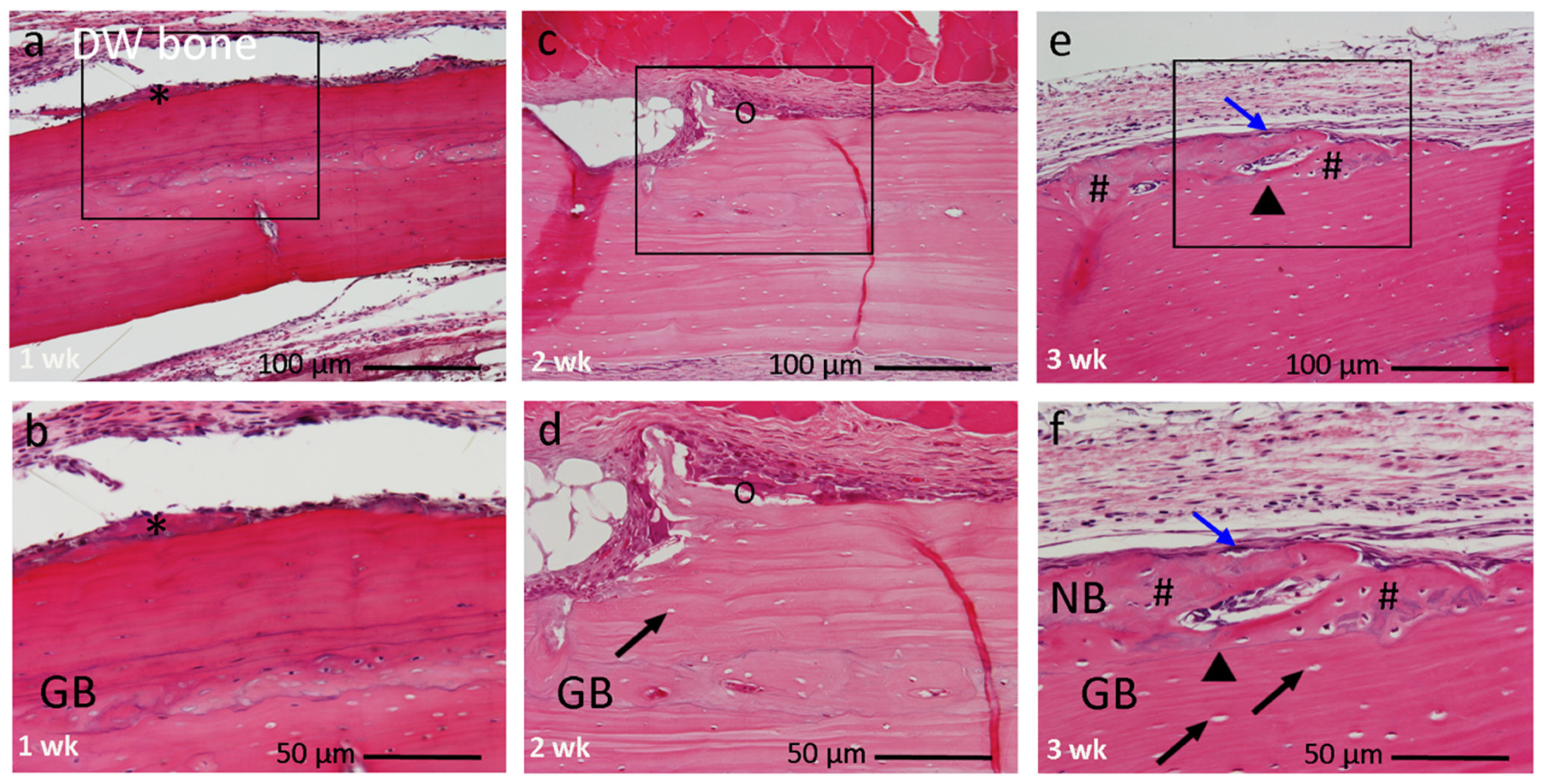 Materials 14 03347 g005