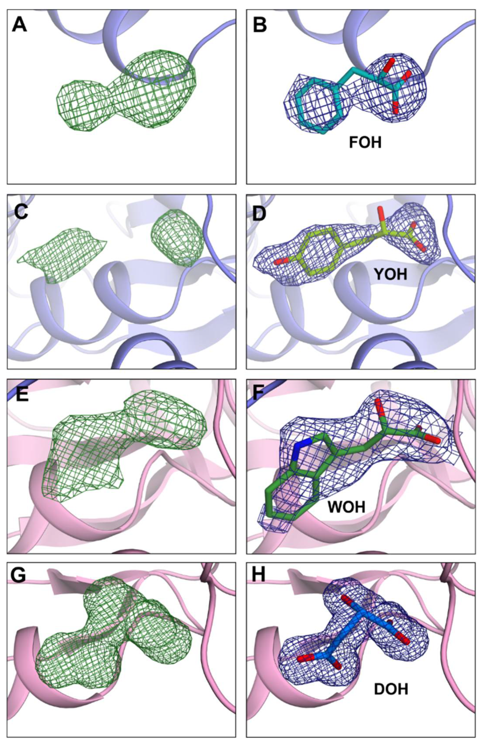 Materials 14 03351 g005