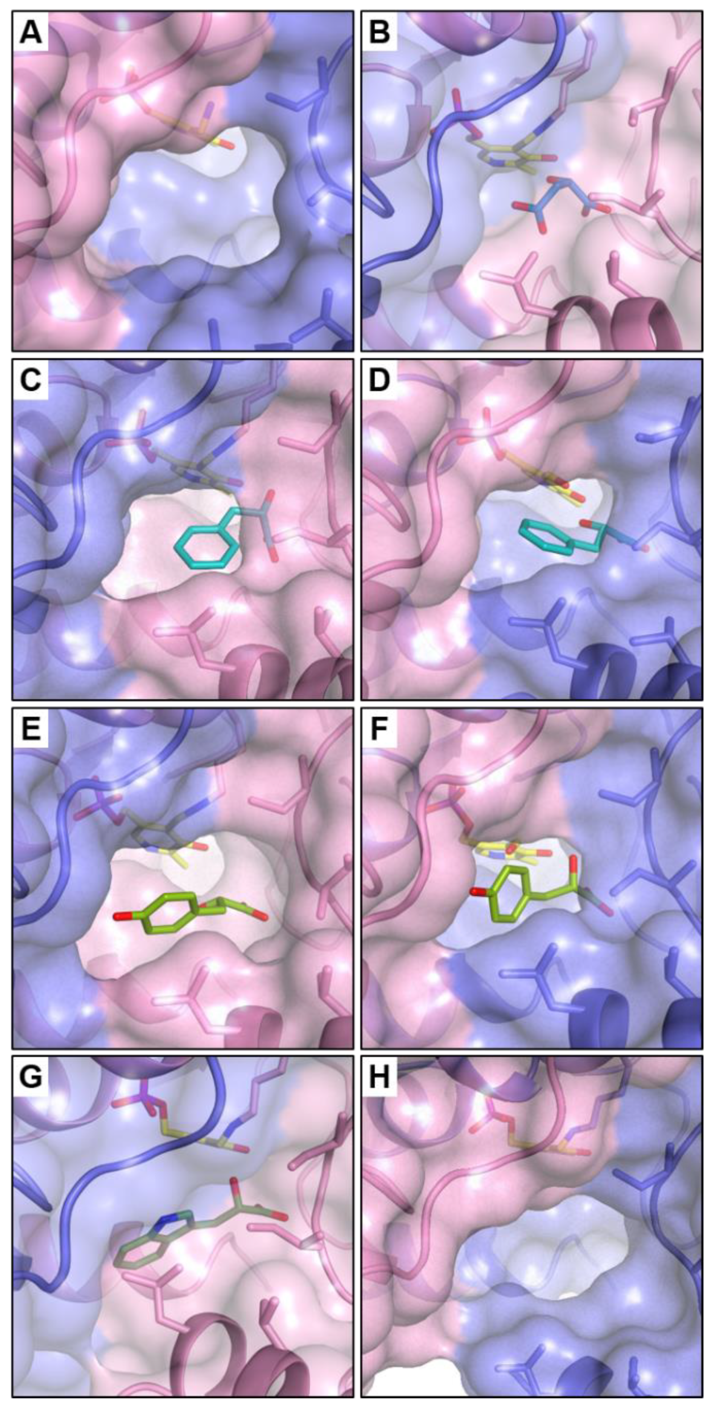 Materials 14 03351 g008