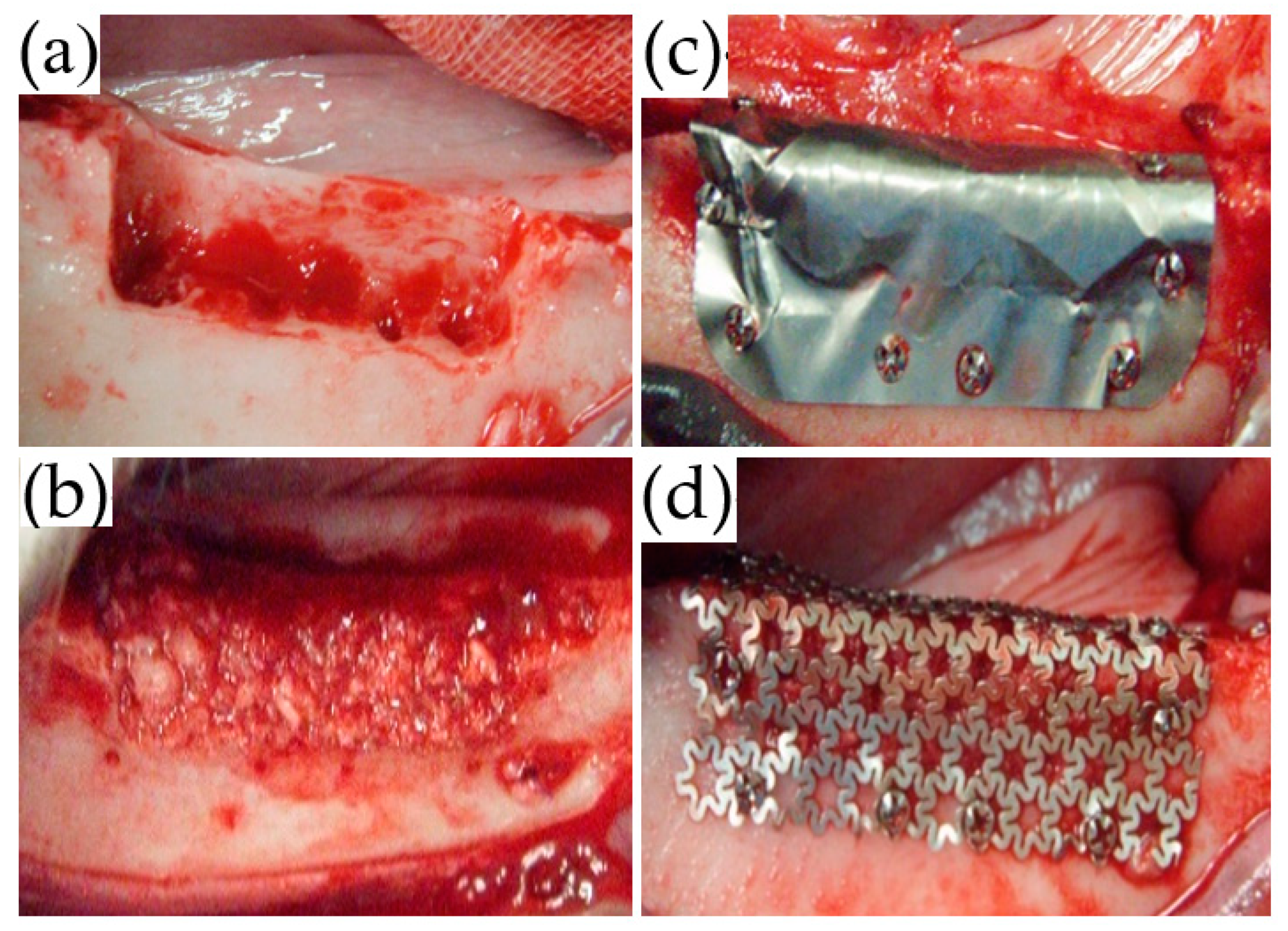 Materials 14 03358 g003 Materials 14 03358 g003
