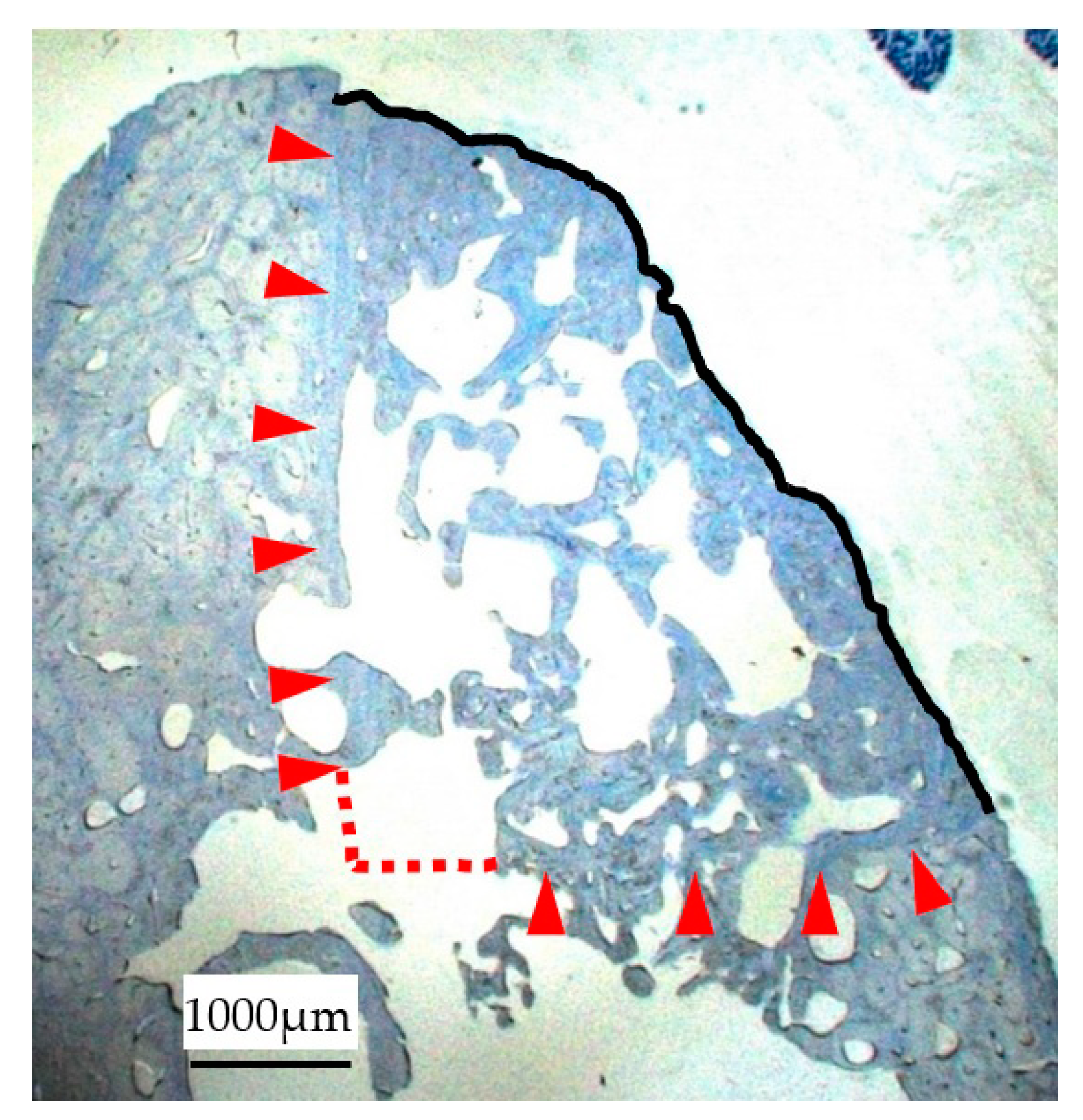 Materials 14 03358 g005 Materials 14 03358 g005
