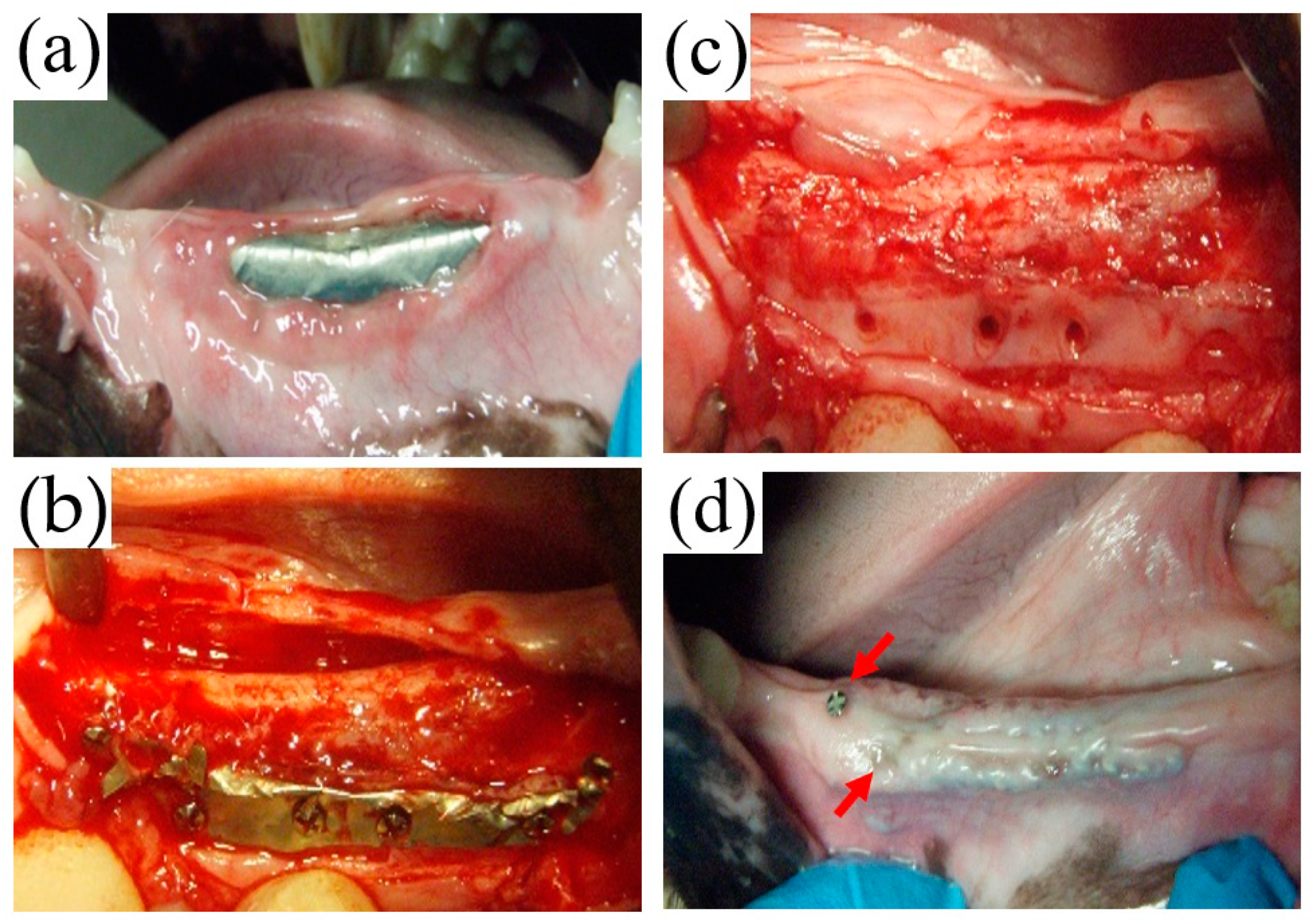 Materials 14 03358 g006 Materials 14 03358 g006