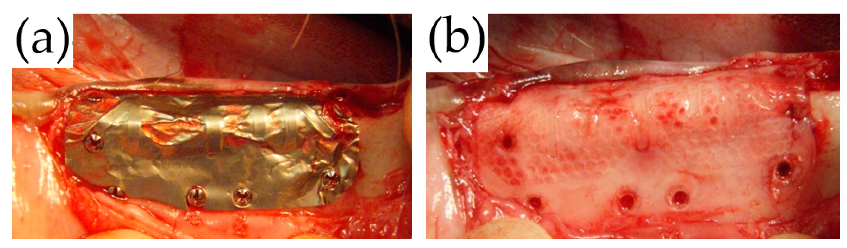 Materials 14 03358 g007 Materials 14 03358 g007