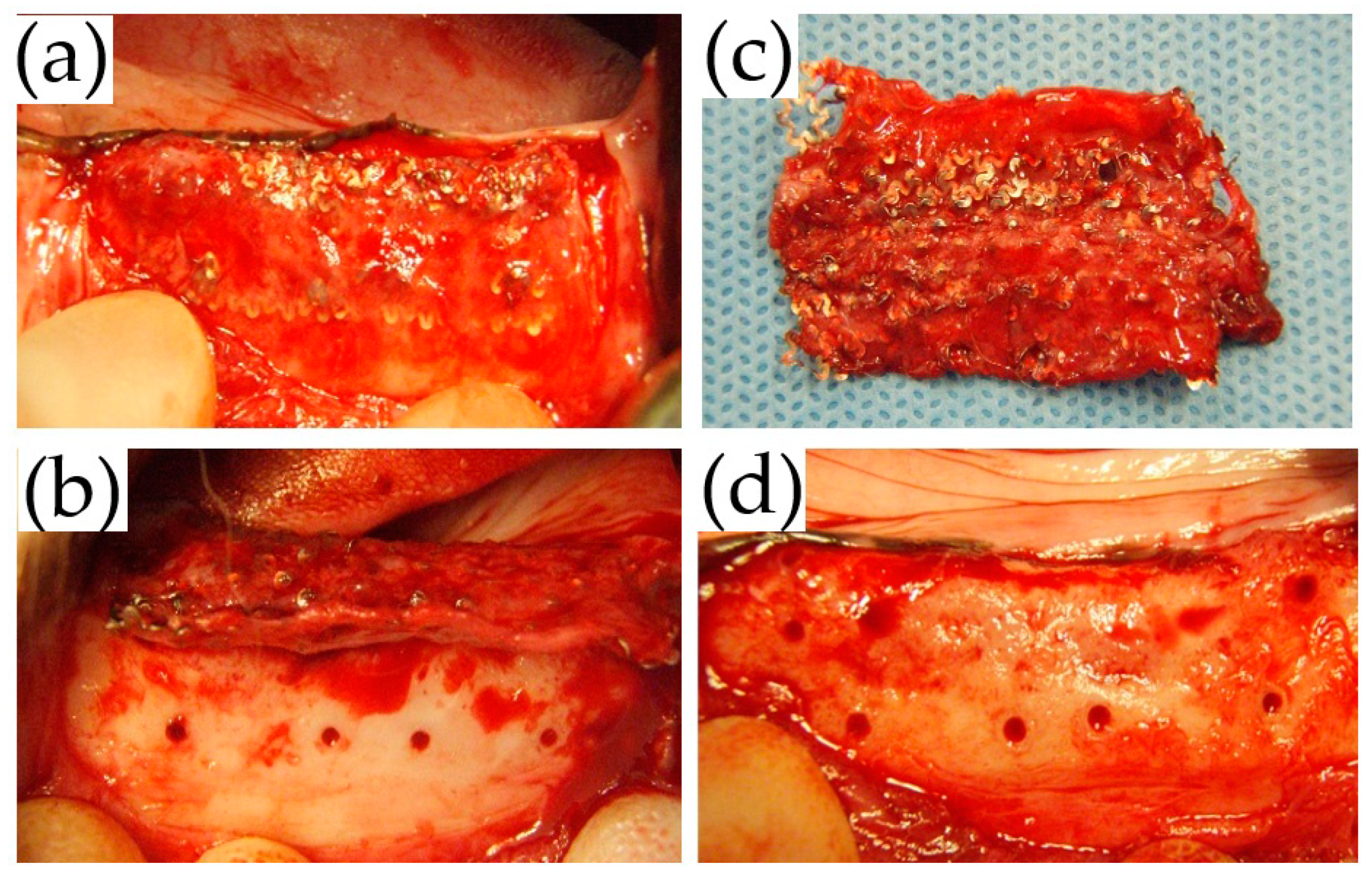 Materials 14 03358 g008 Materials 14 03358 g008
