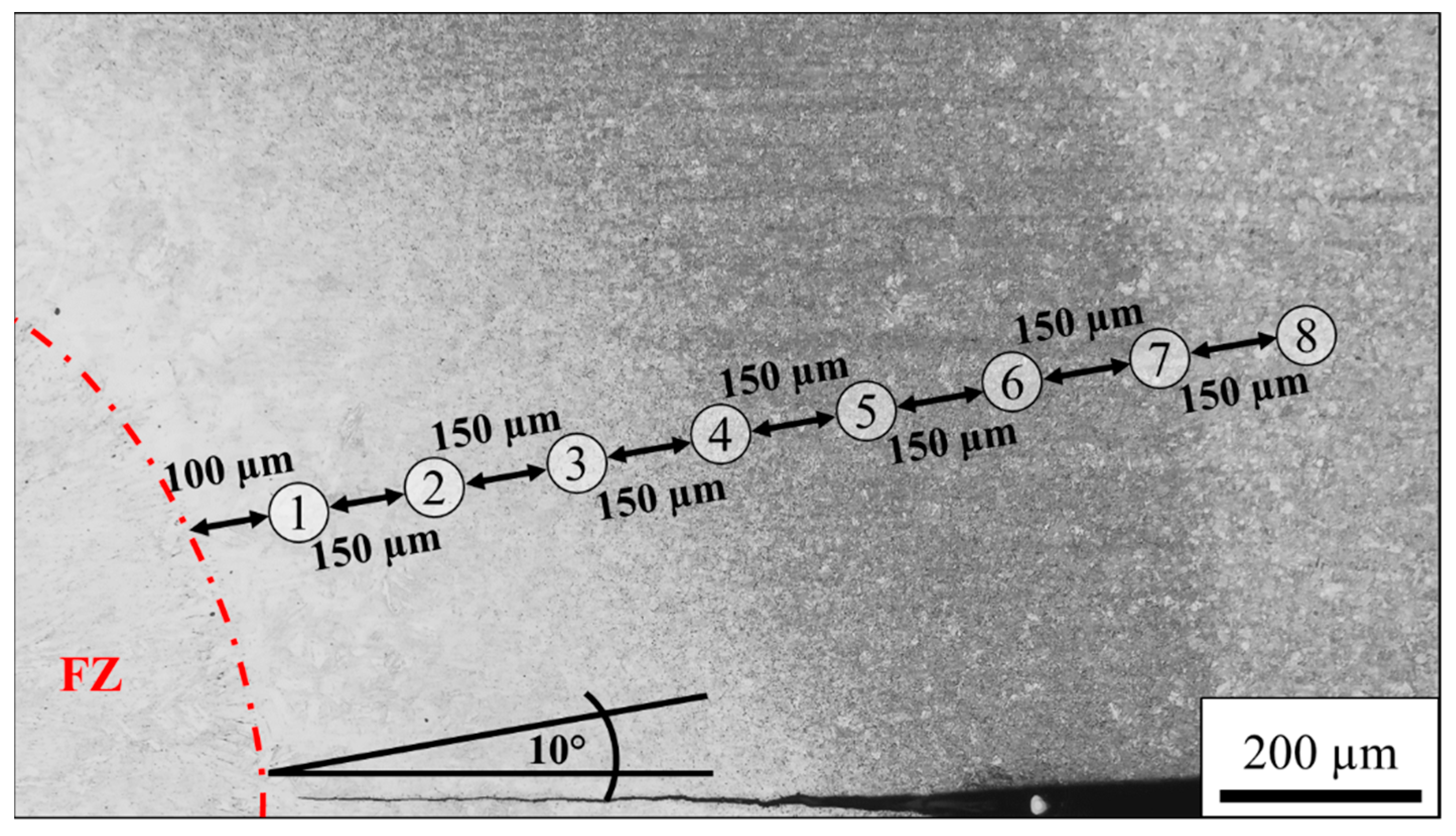Materials 14 03362 g003