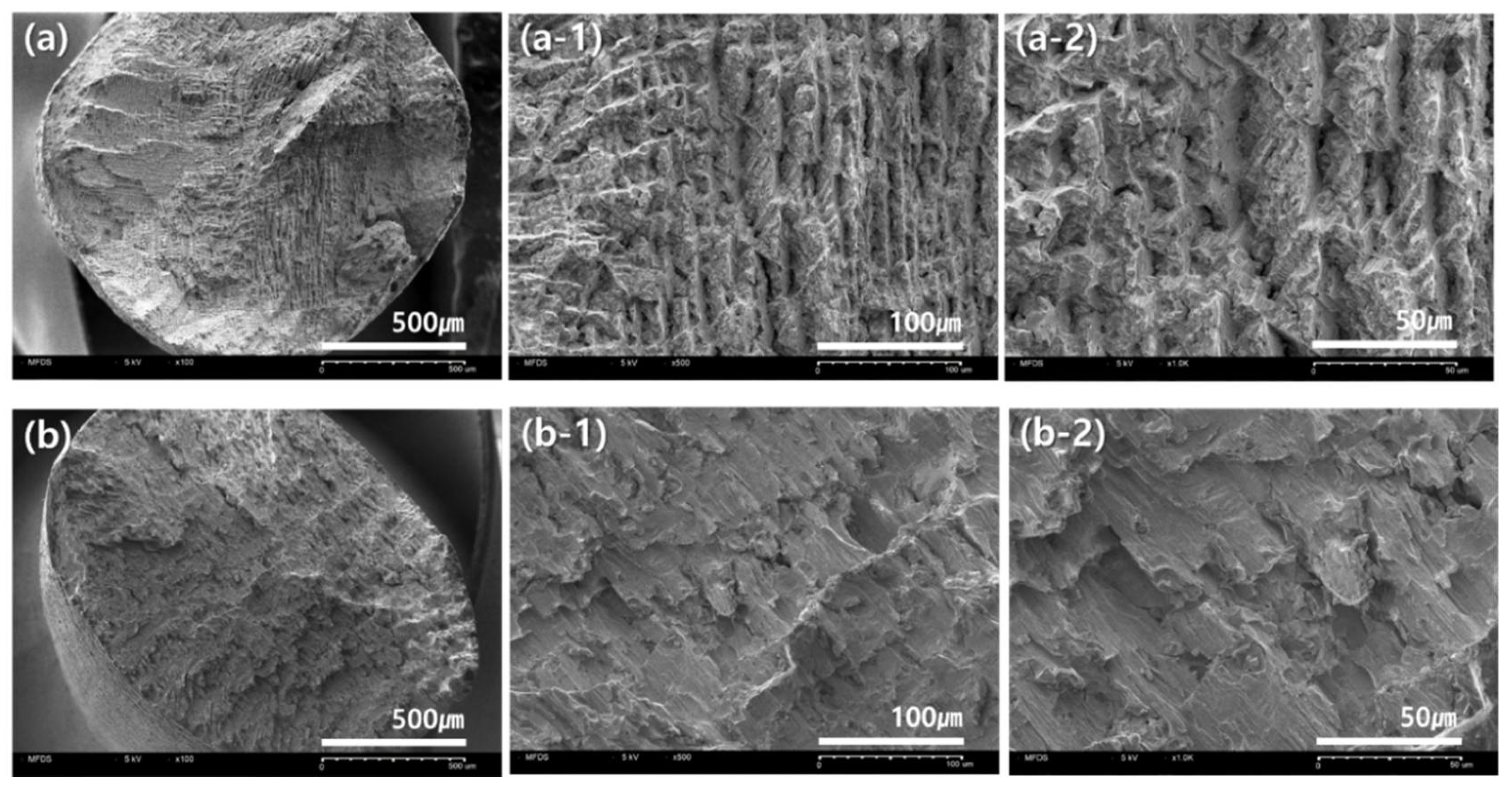 Materials 14 03367 g005