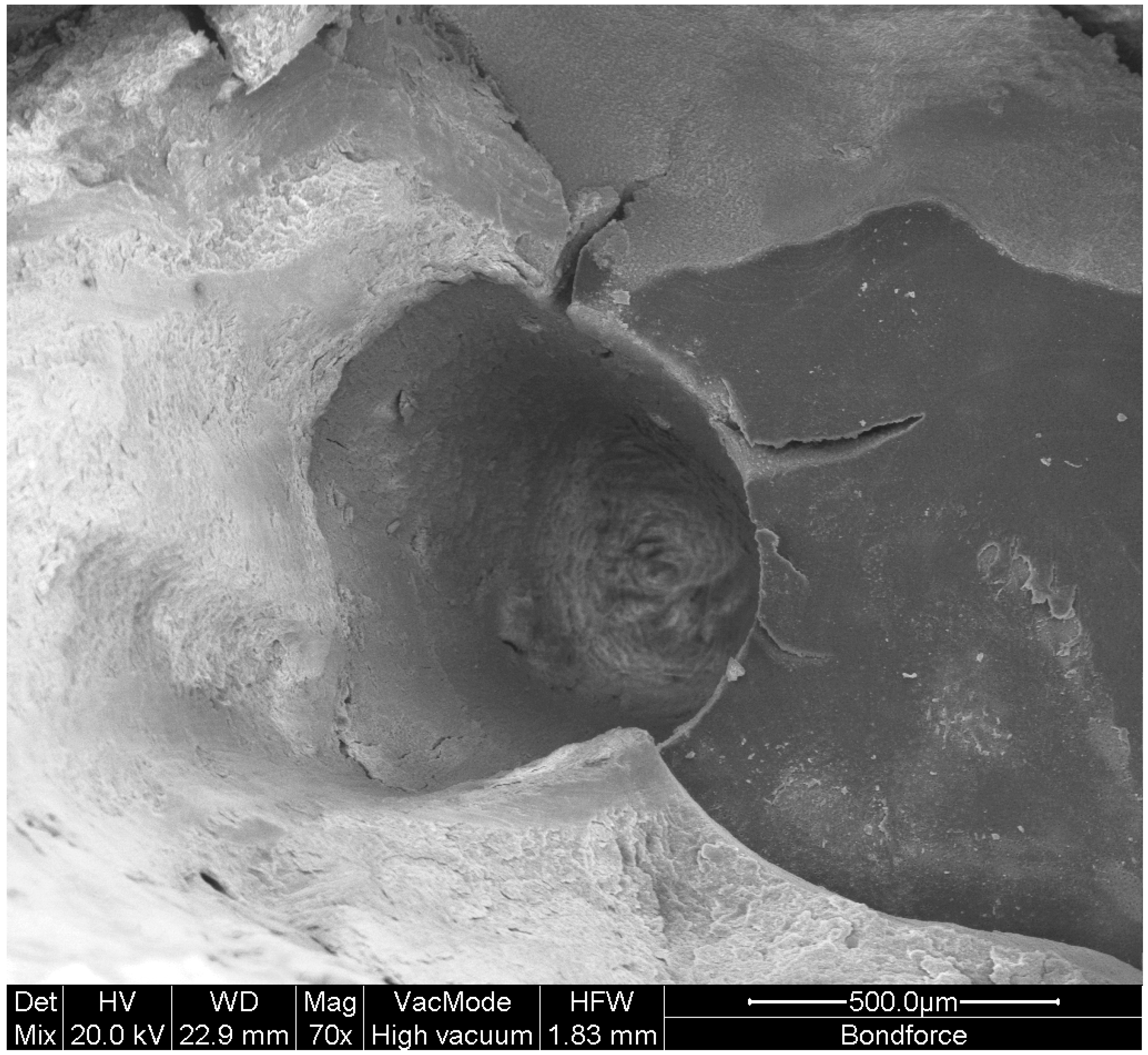 Materials 14 03370 g002