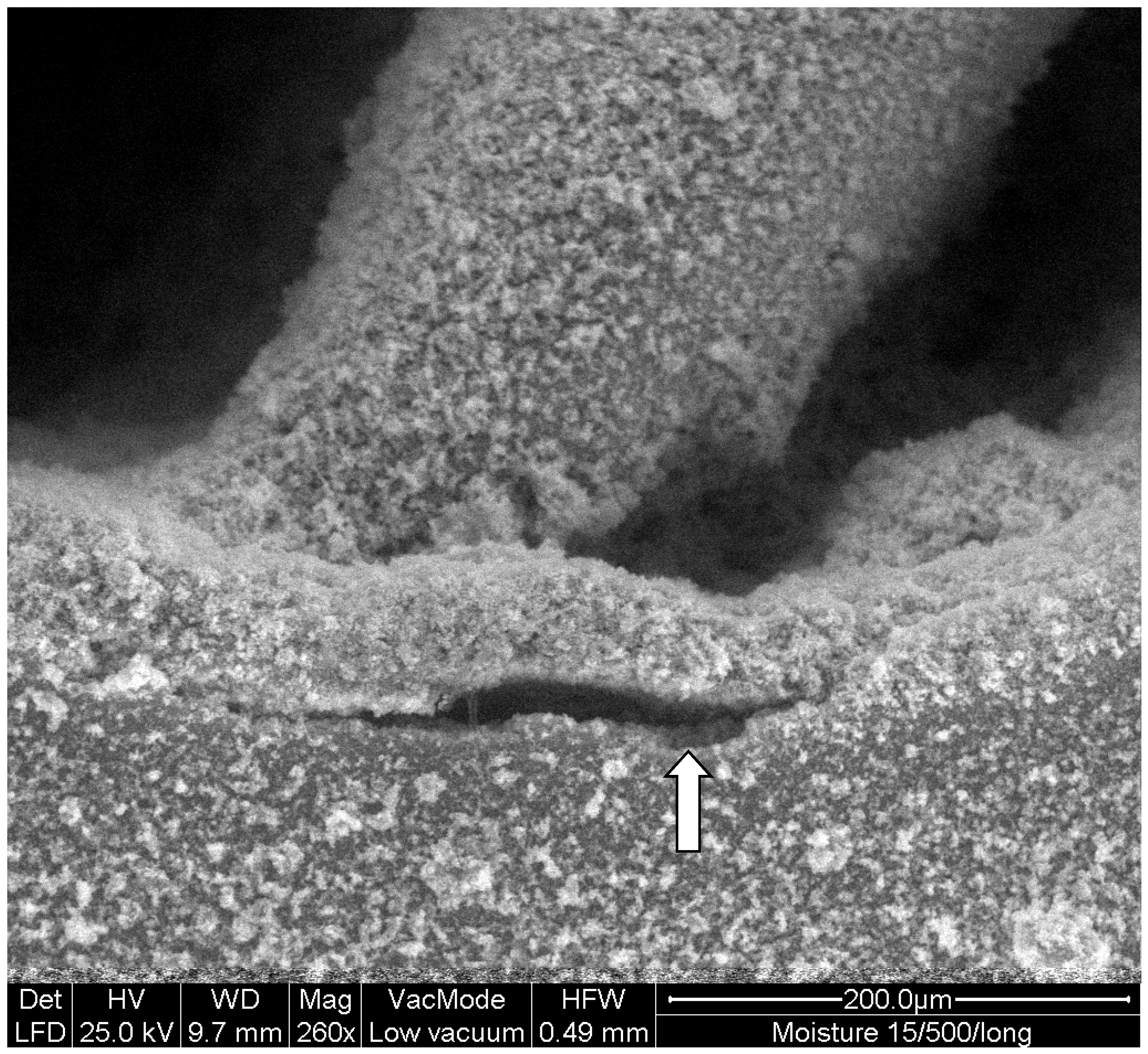 Materials 14 03370 g003