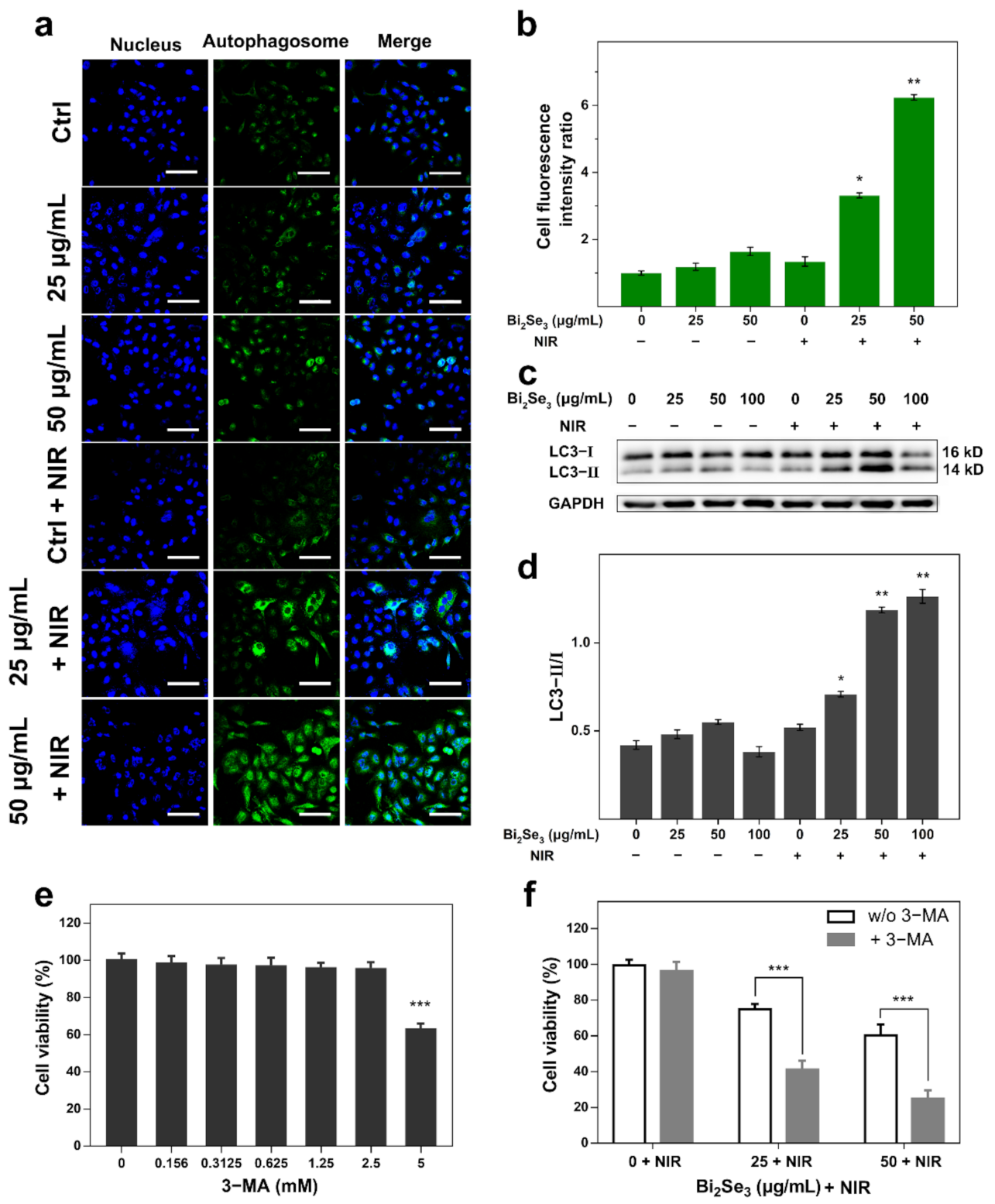 Materials 14 03373 g004