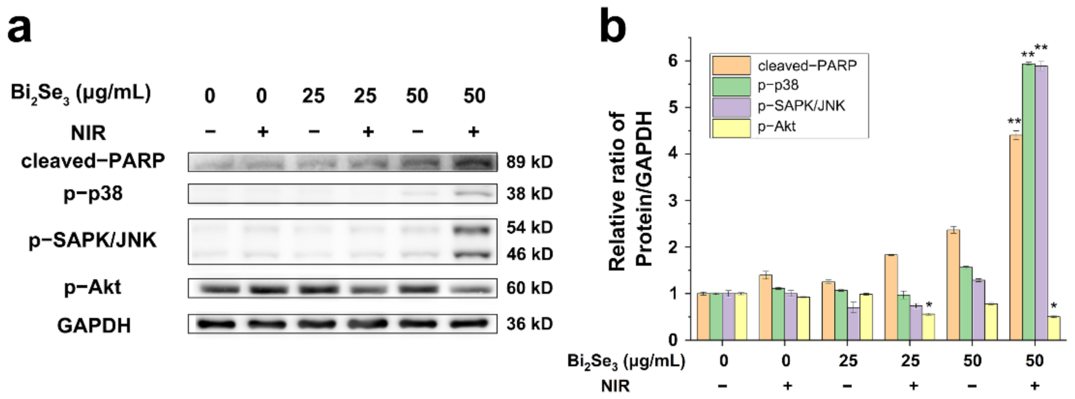 Materials 14 03373 g005
