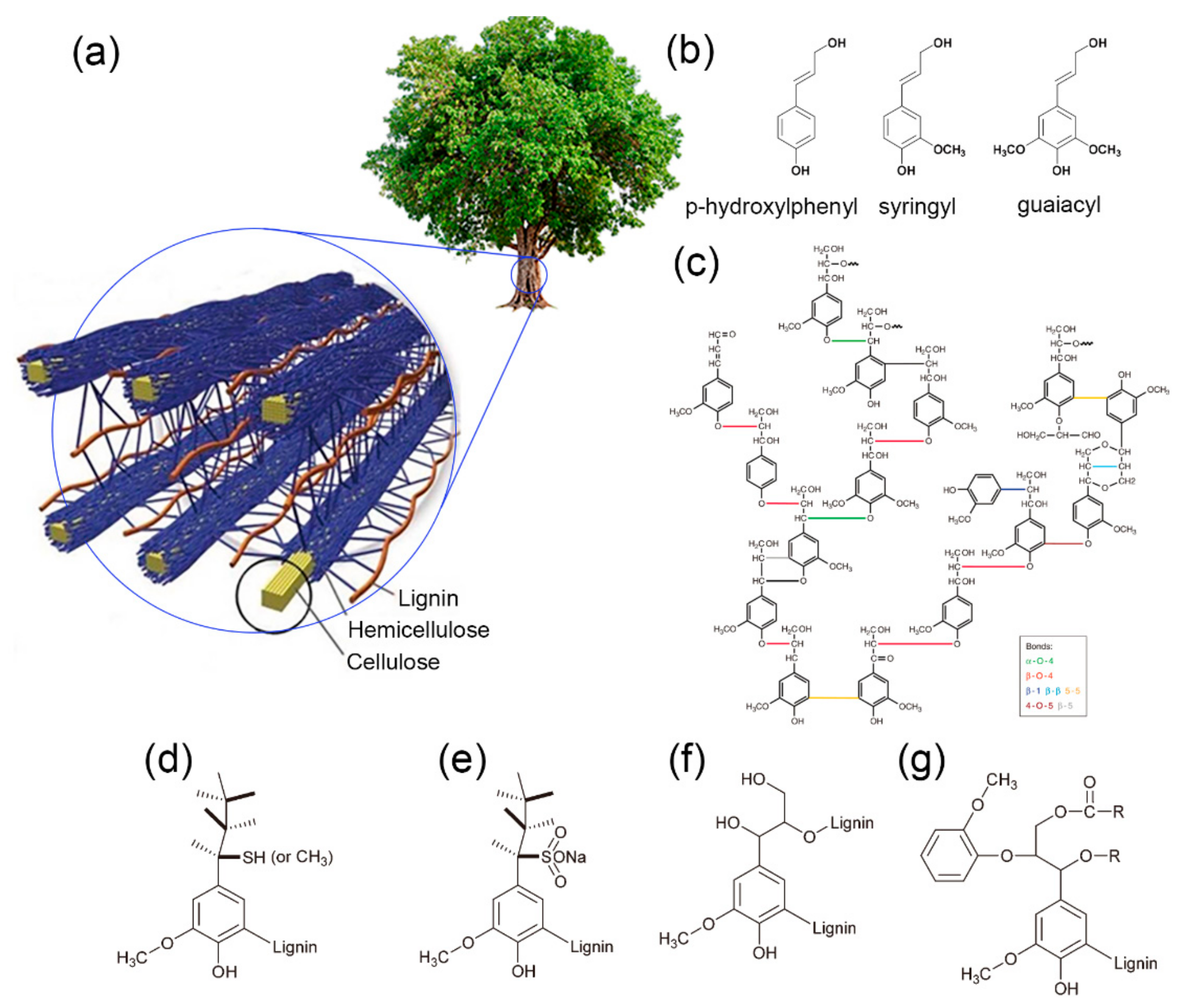 Materials 14 03378 g002