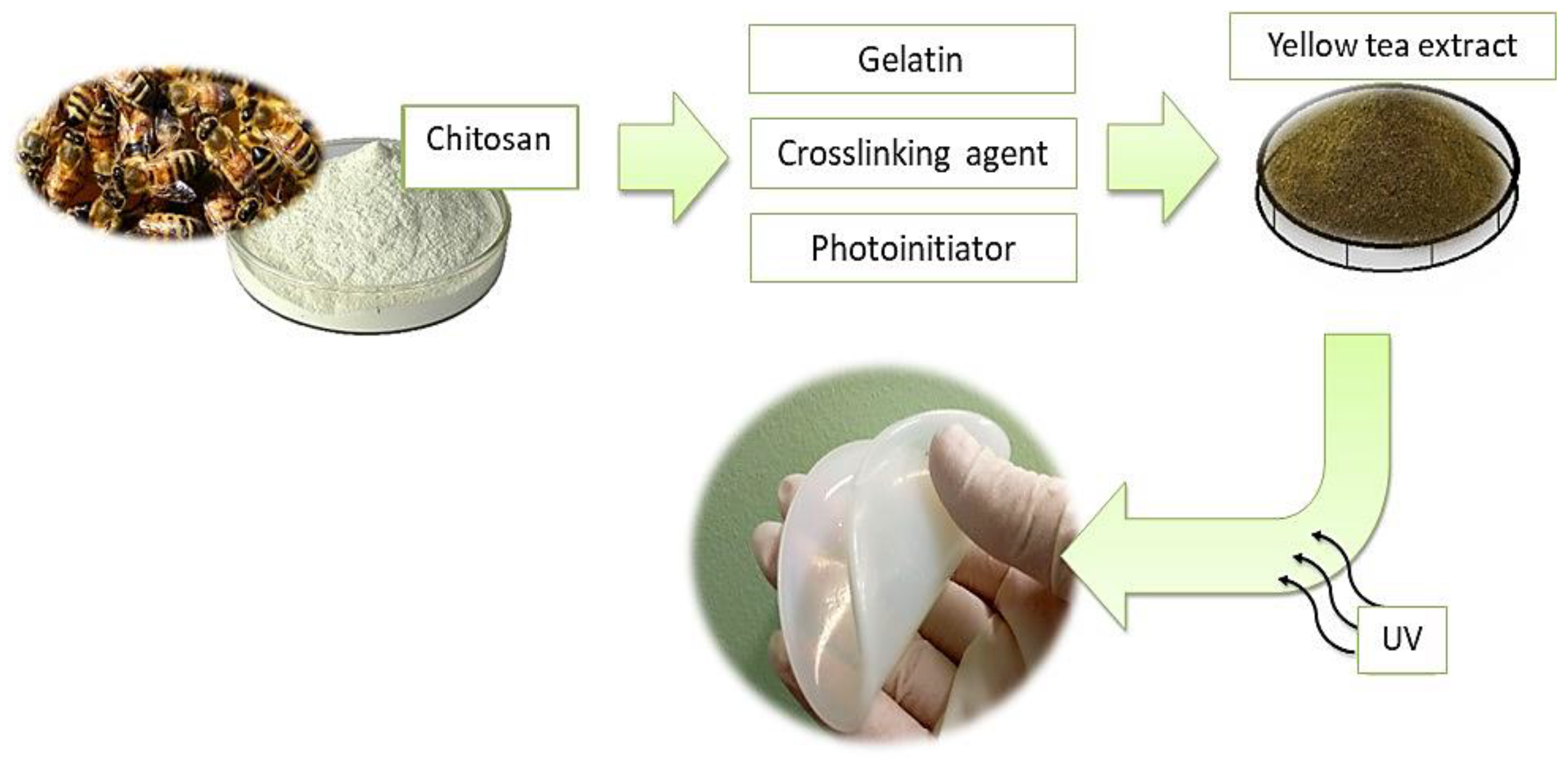 Materials 14 03379 g002 Materials 14 03379 g002