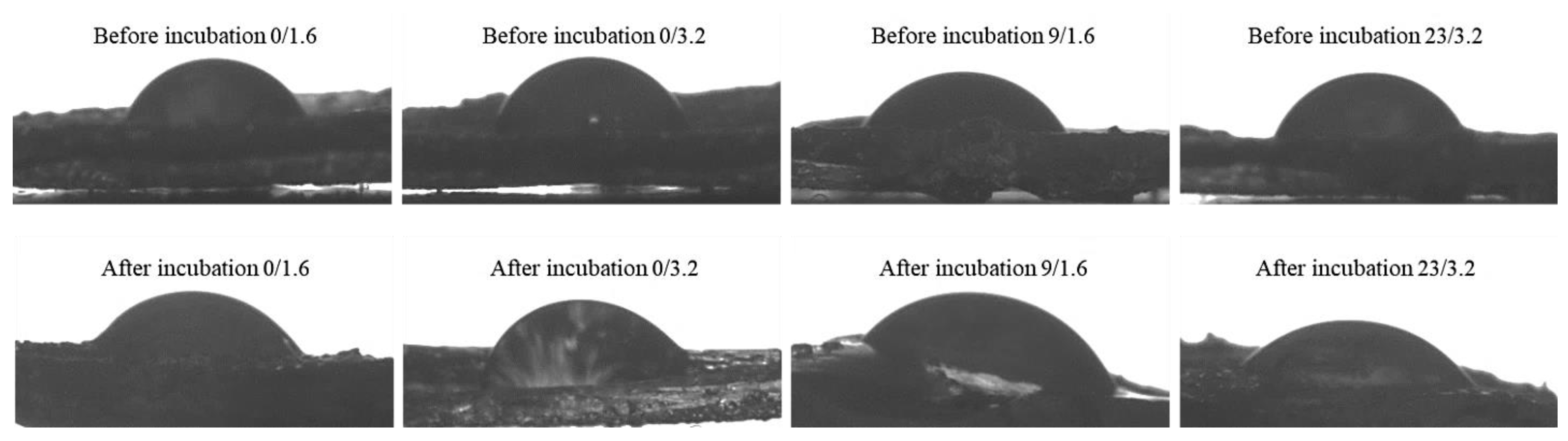 Materials 14 03379 g008 Materials 14 03379 g008