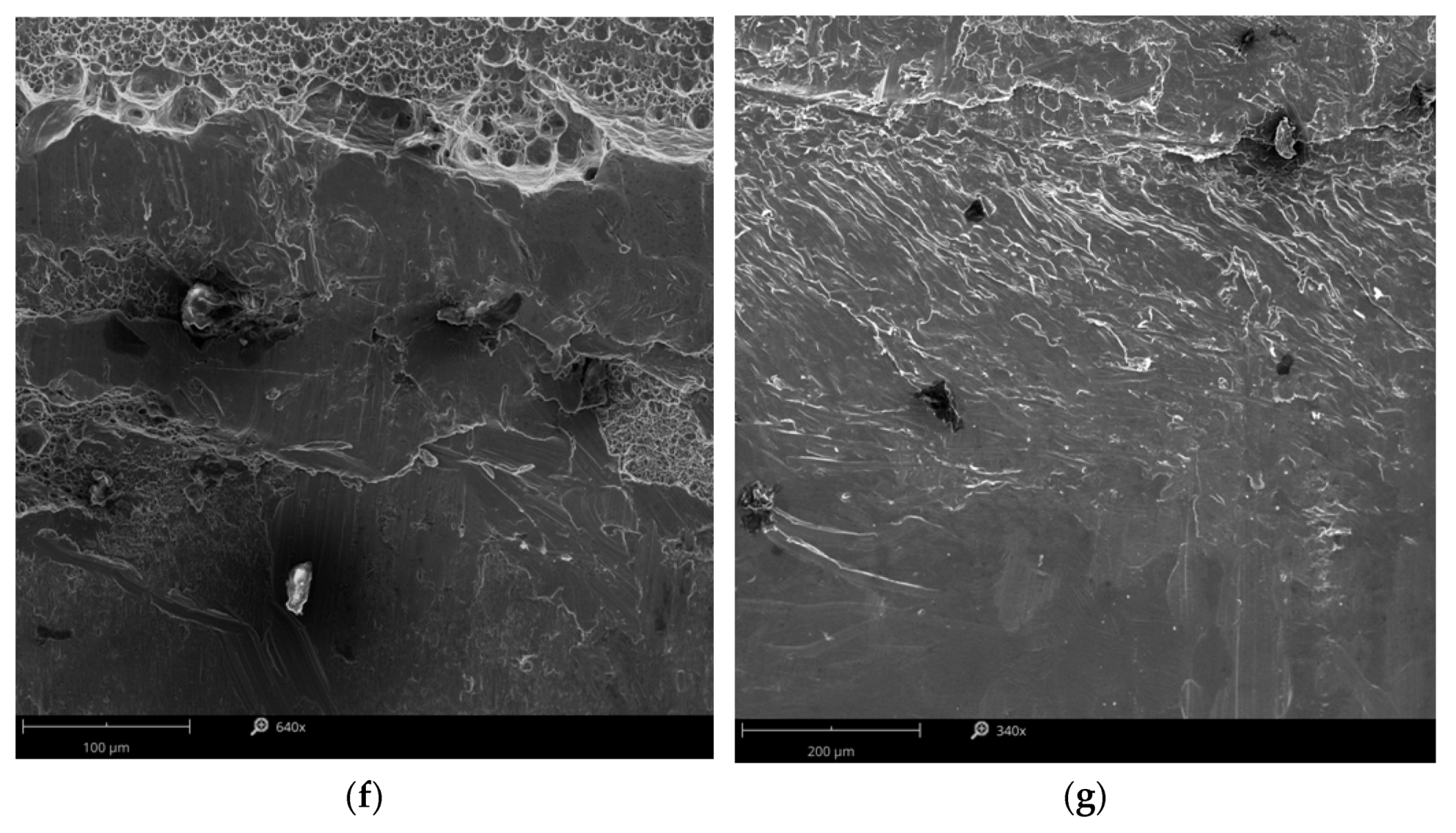 Materials 14 03397 g019b Materials 14 03397 g019b