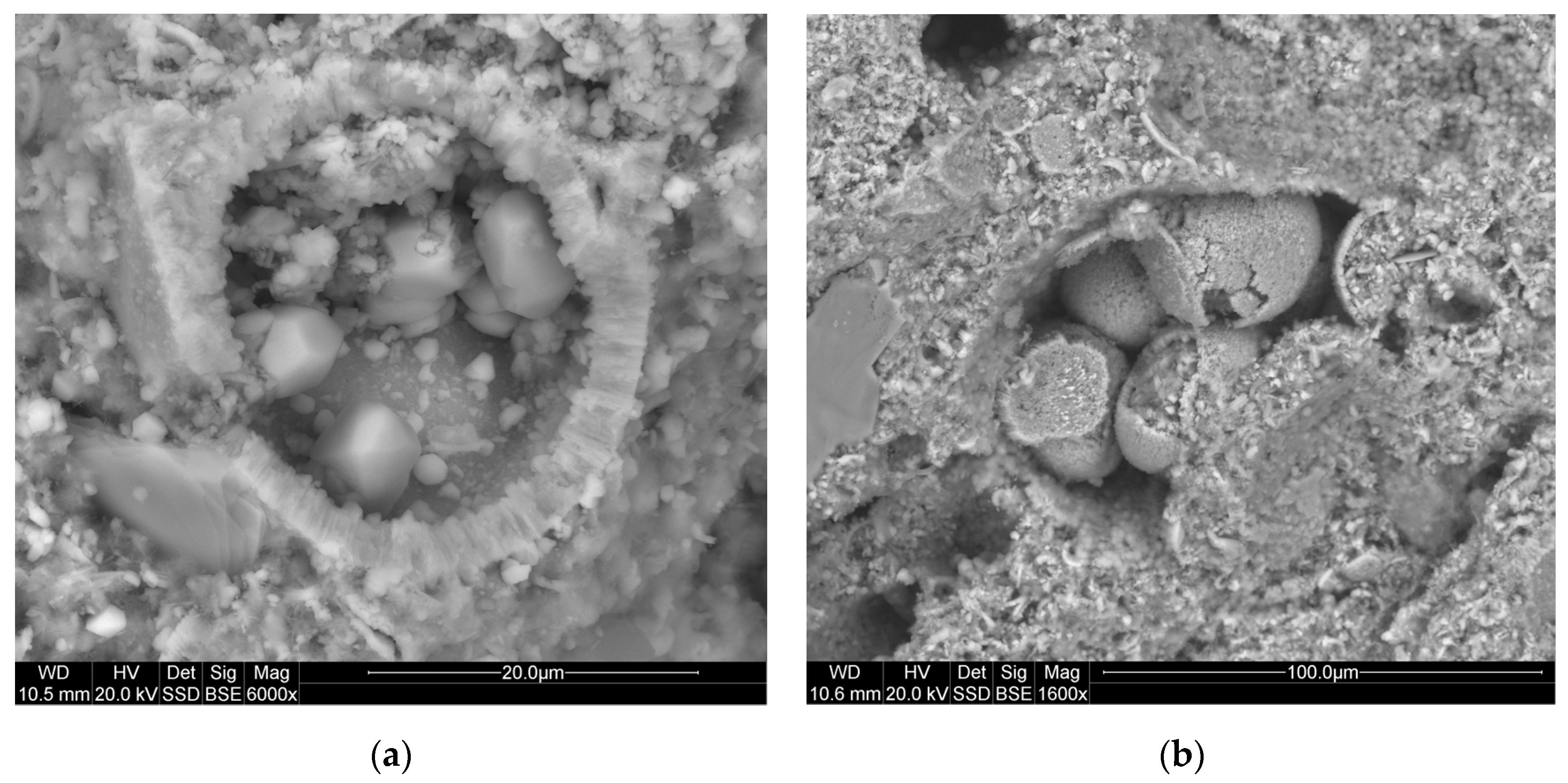 Materials 14 03403 g008 Materials 14 03403 g008