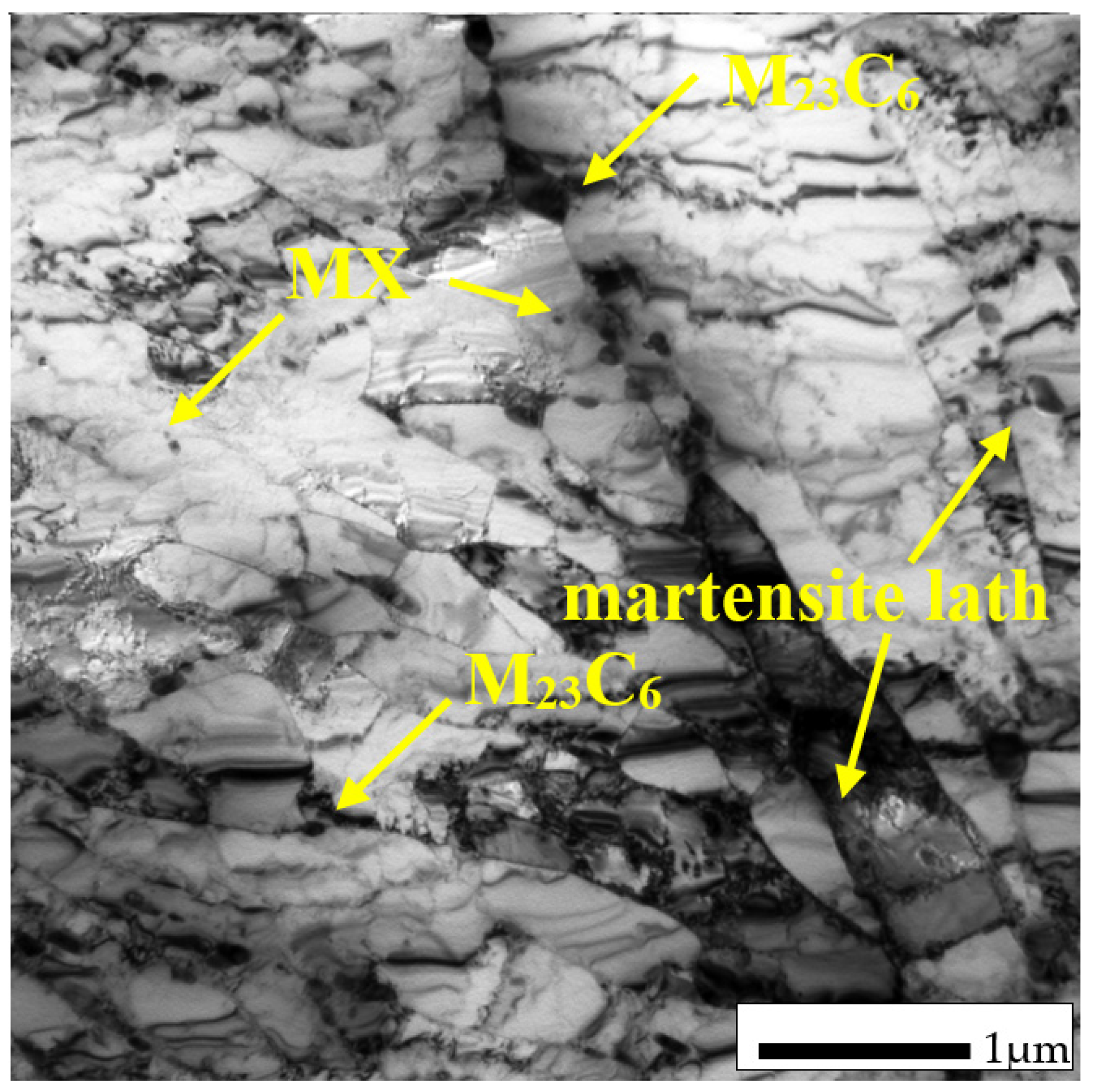 Materials 14 03430 g003