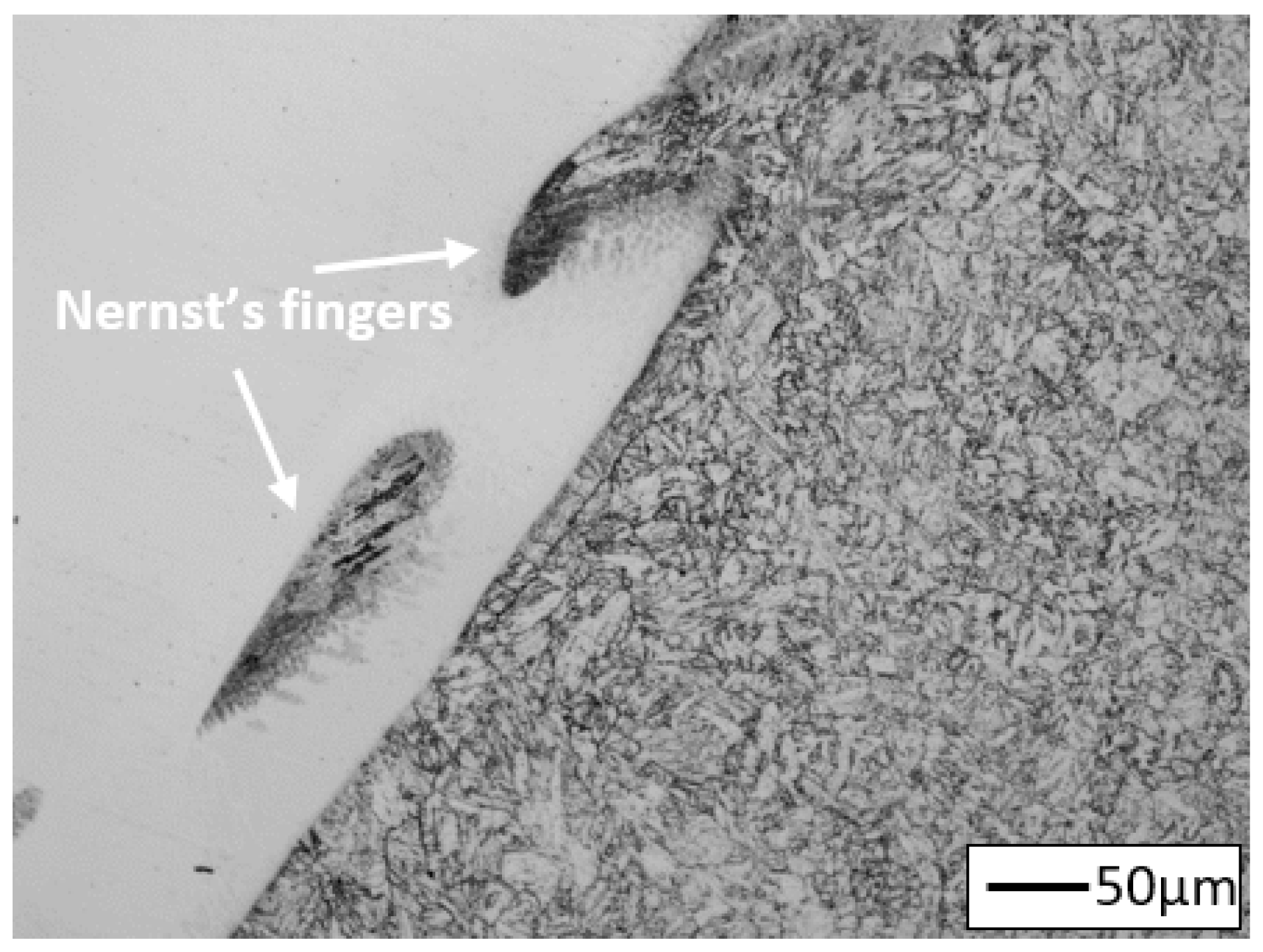 Materials 14 03430 g010