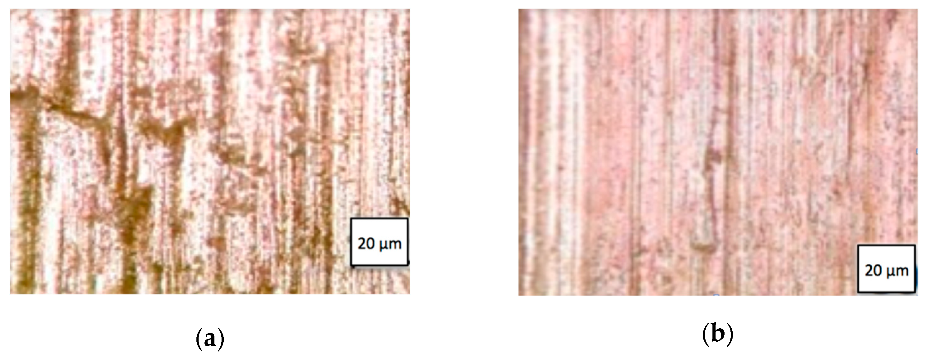 Materials 14 03432 g005