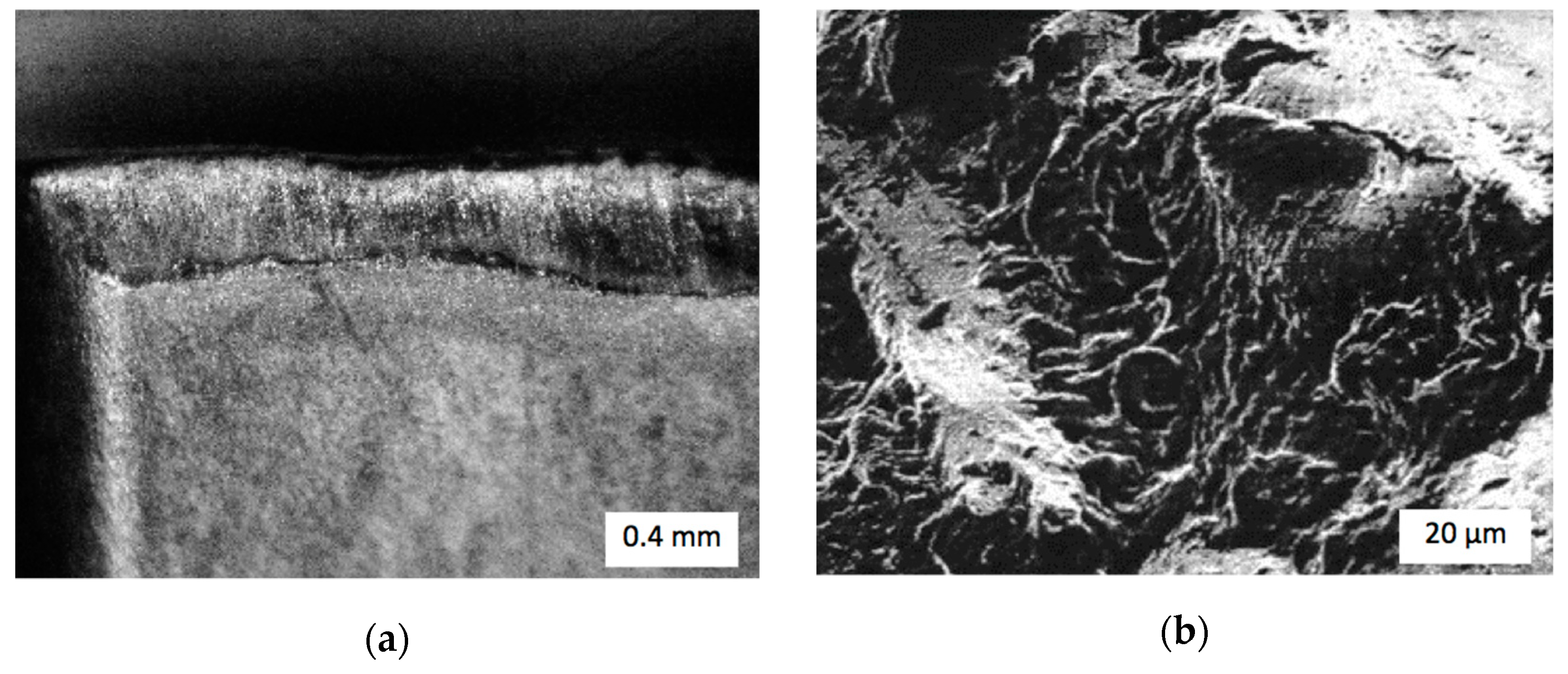 Materials 14 03432 g010