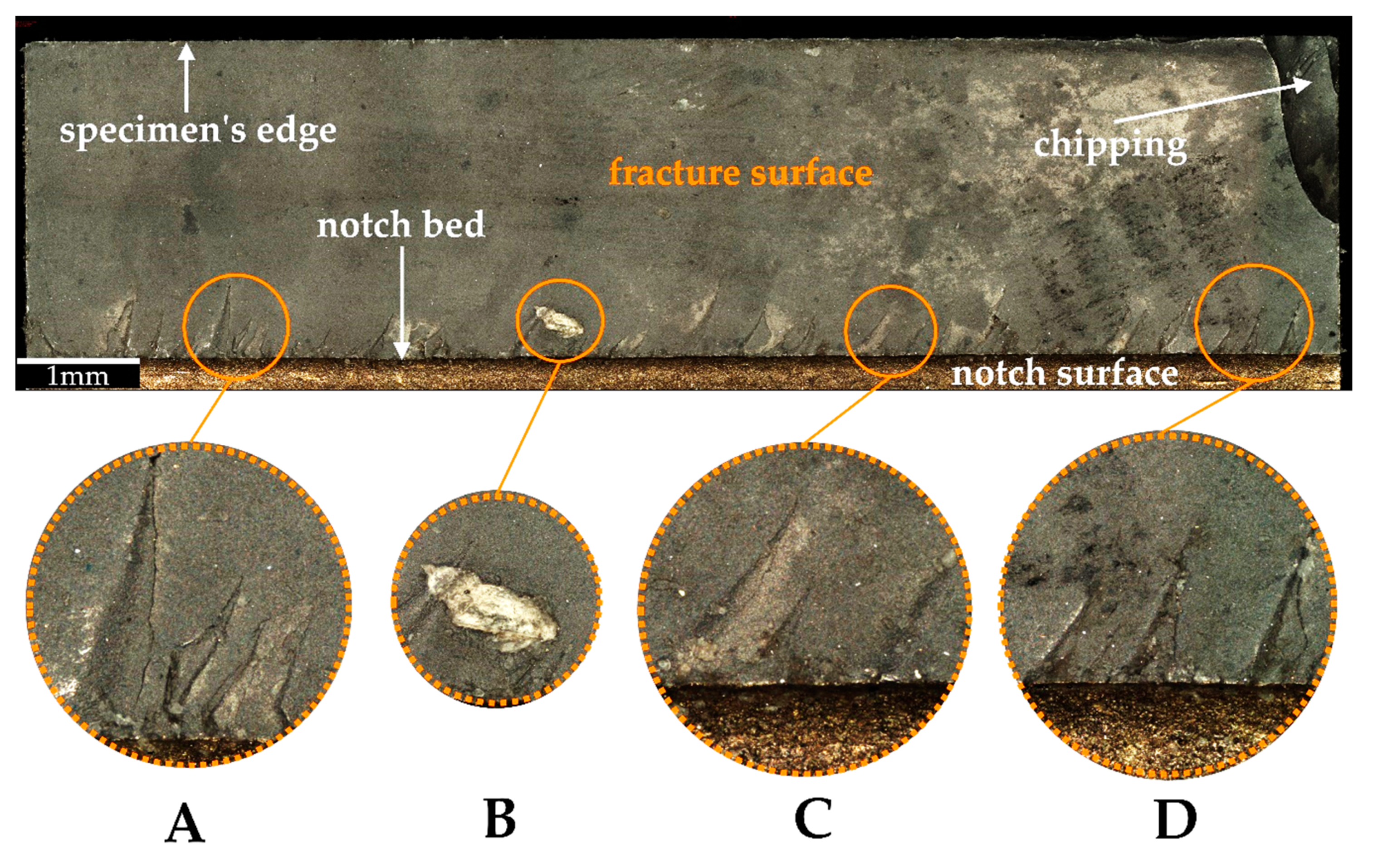 Materials 14 03441 g007