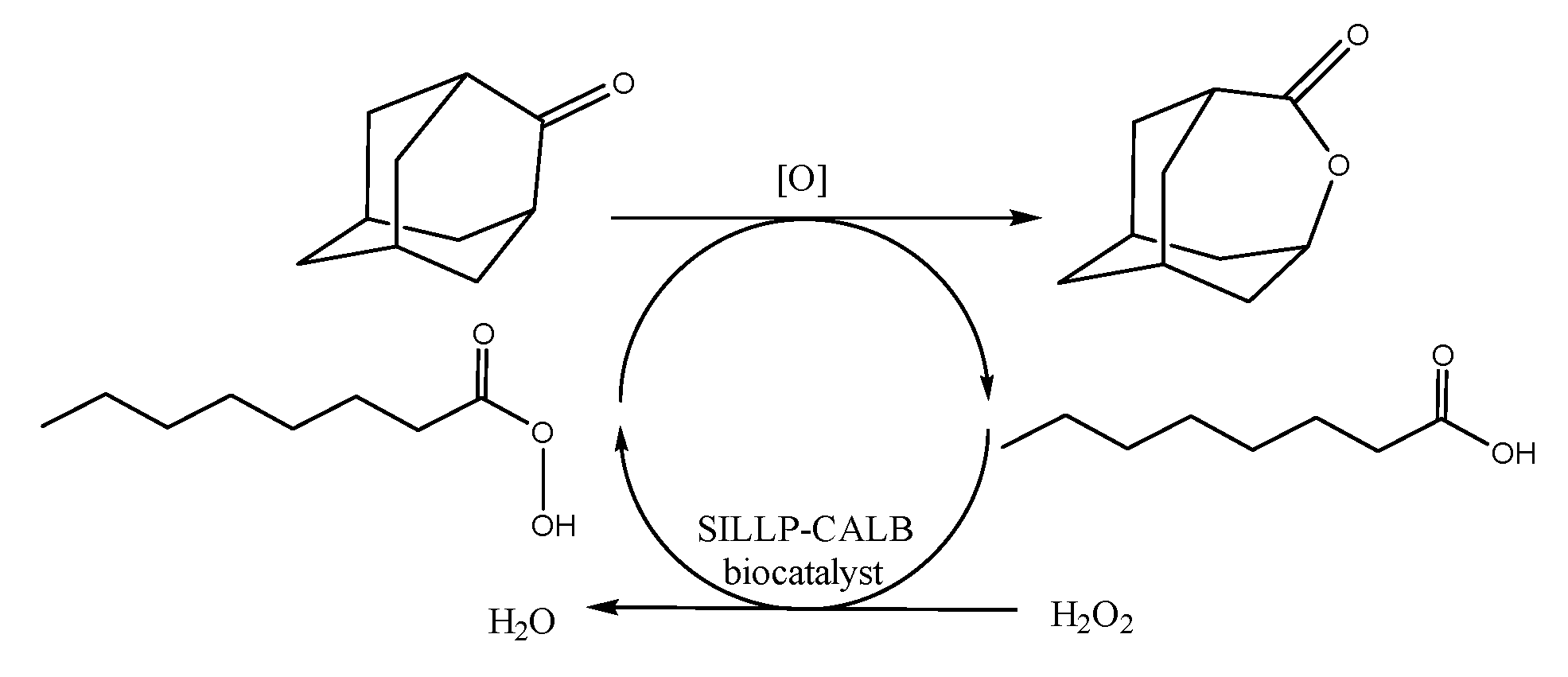 Materials 14 03443 sch004 Materials 14 03443 sch004