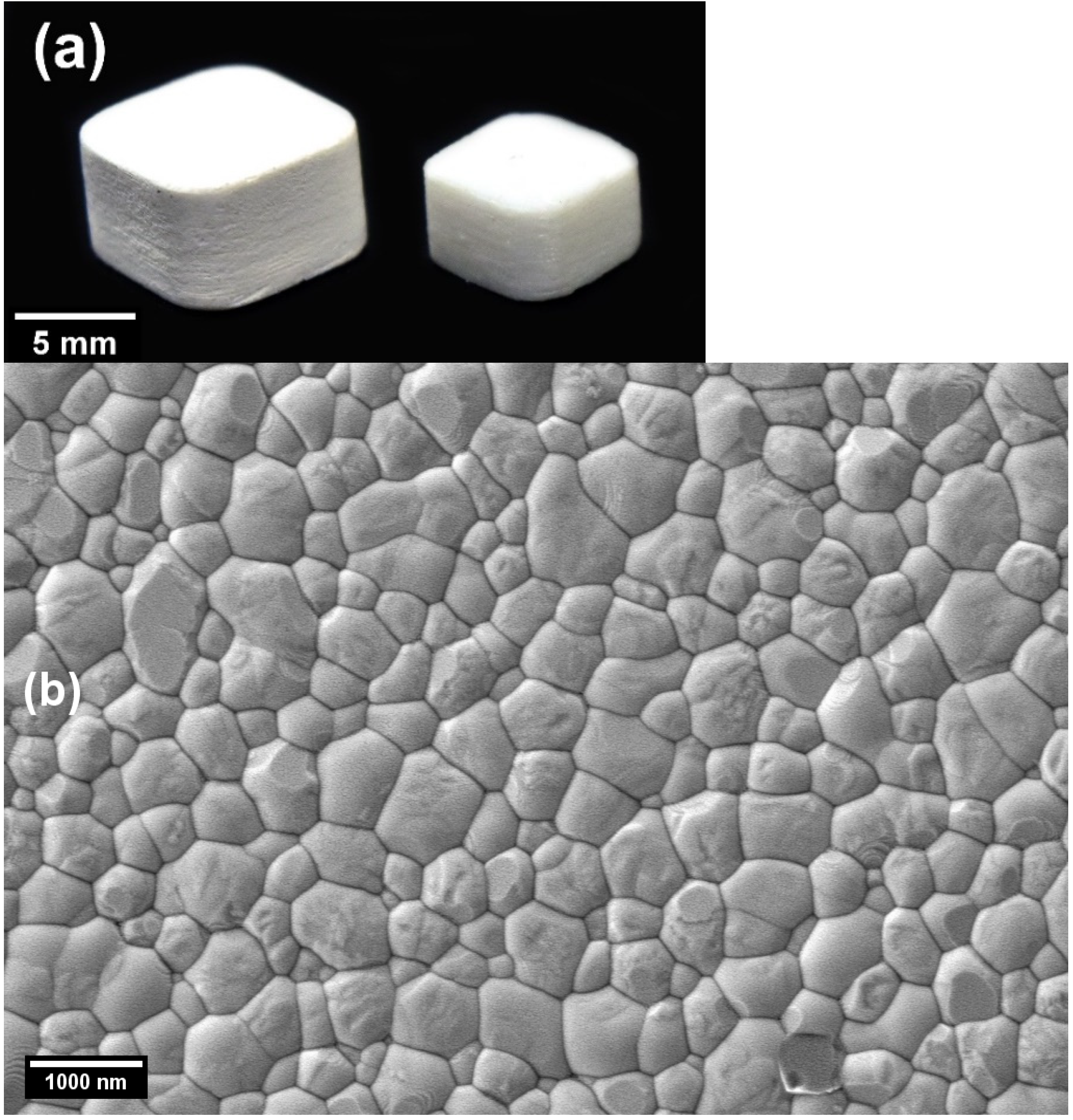 Materials 14 03446 g009