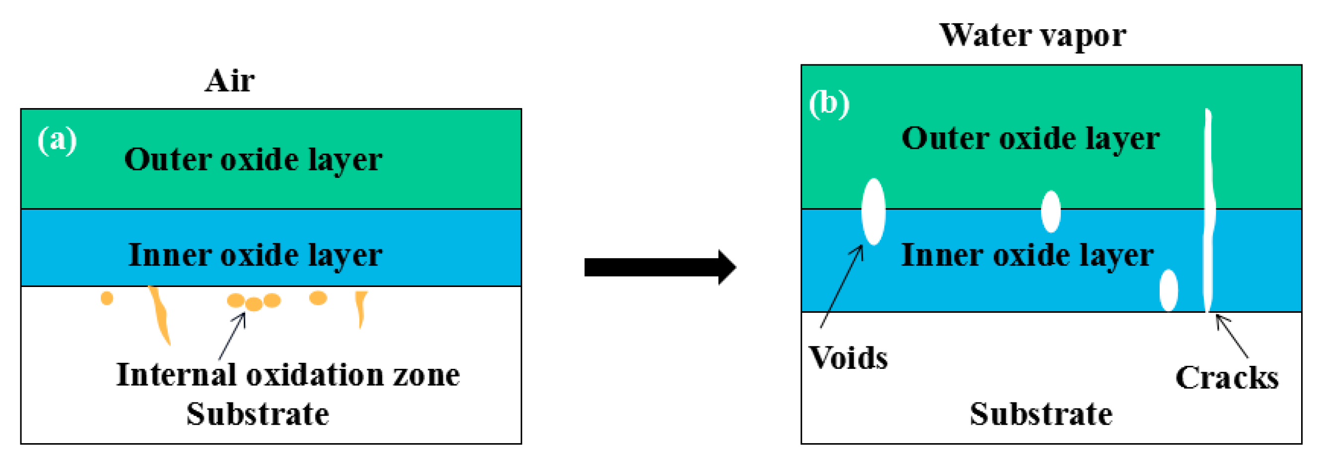 Materials 14 03453 g008