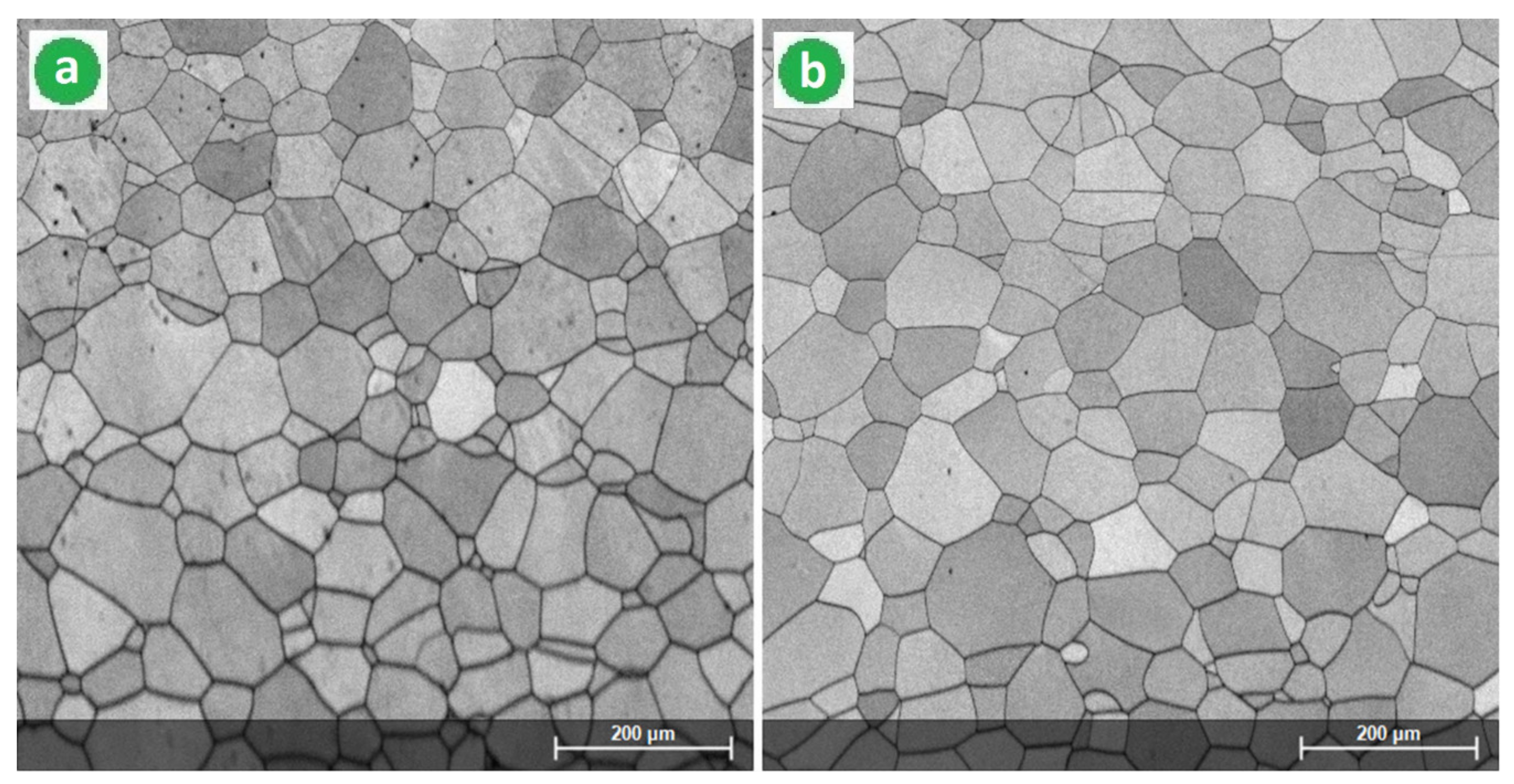 Materials 14 03467 g006