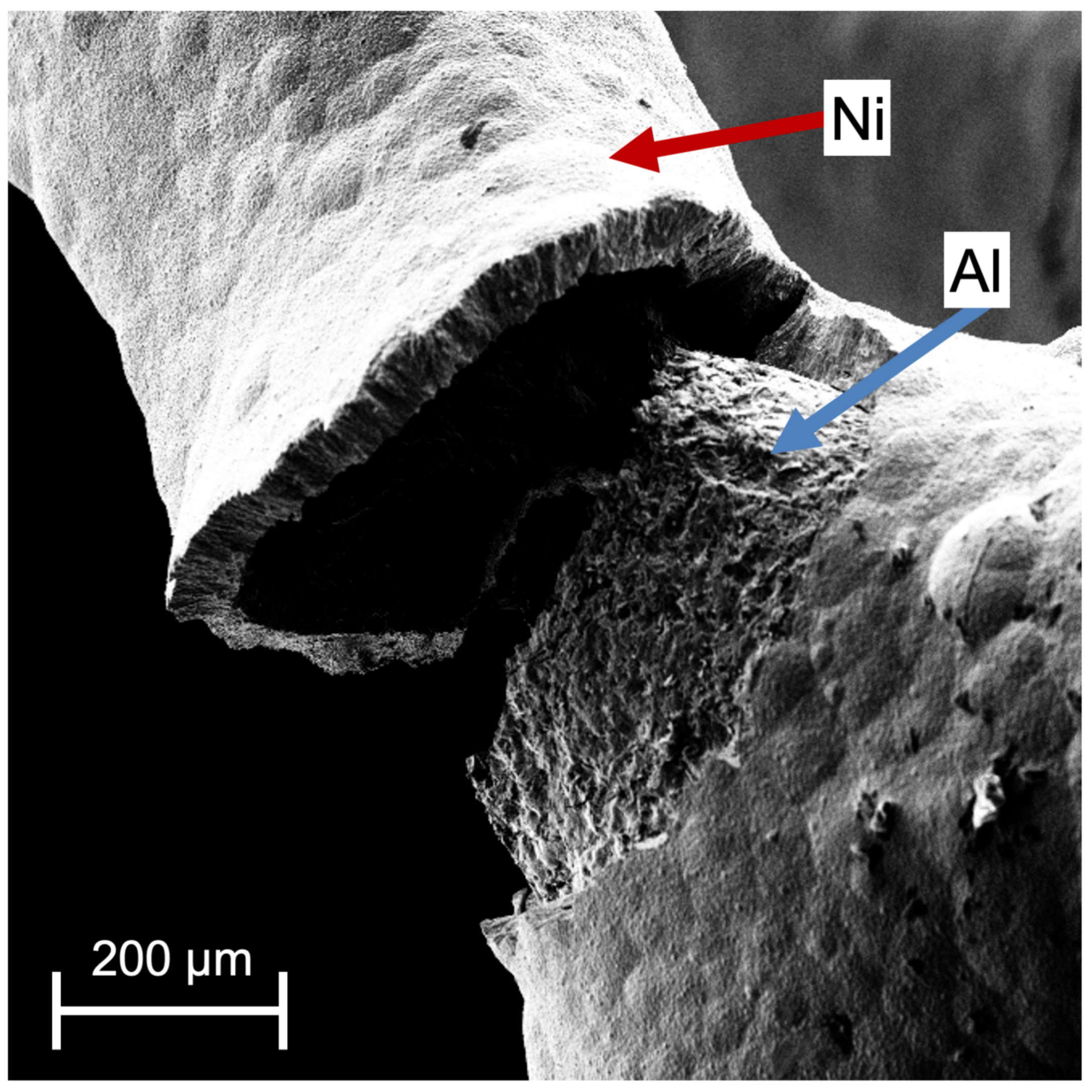 Materials 14 03473 g001