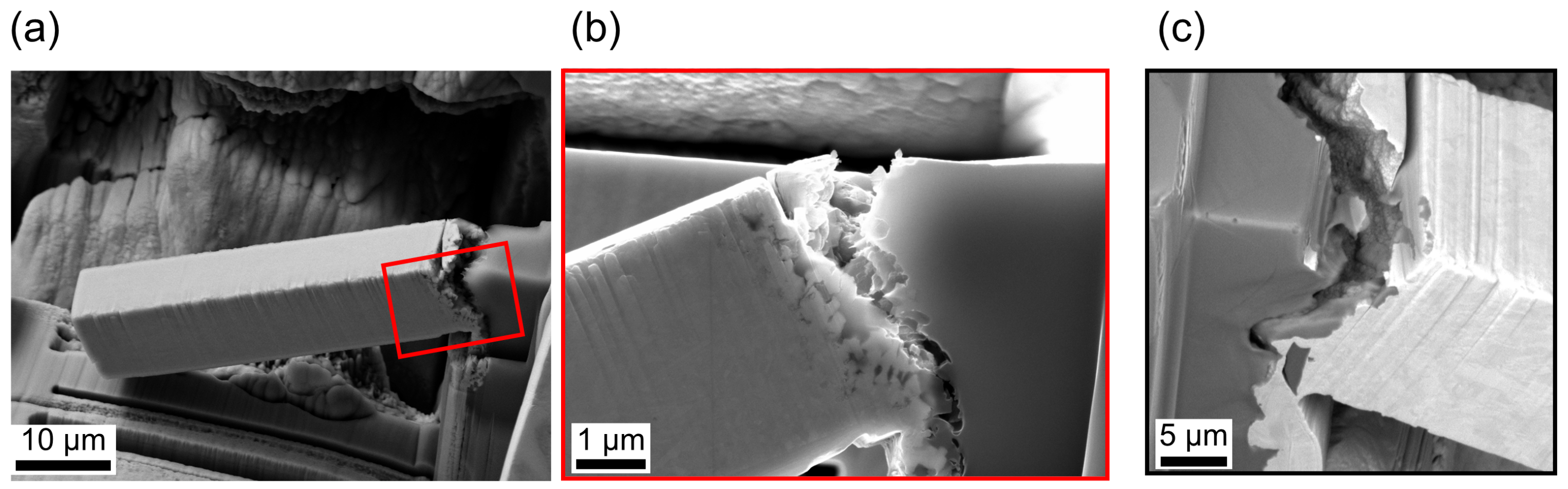 Materials 14 03473 g010