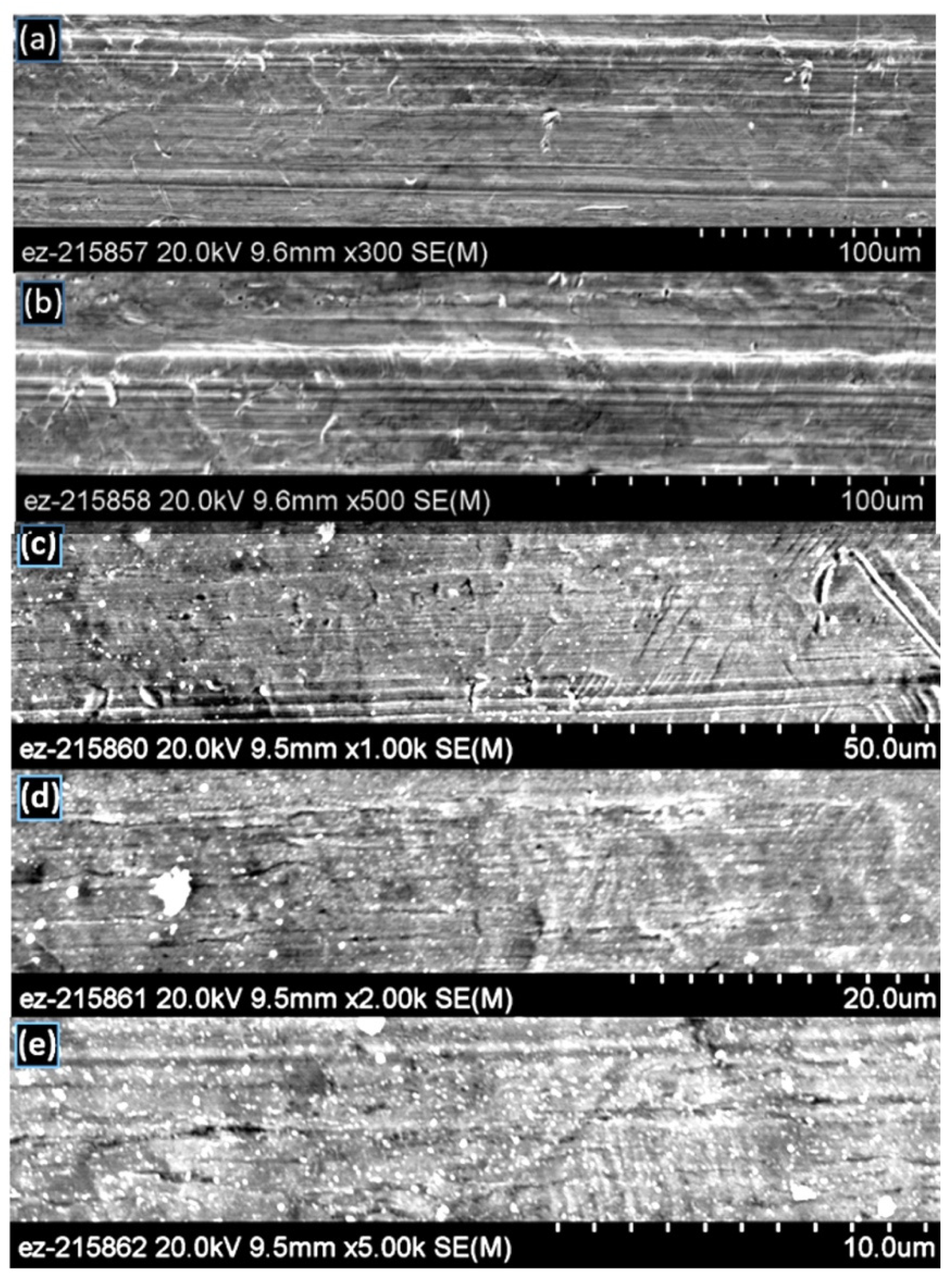 Materials 14 03485 g005