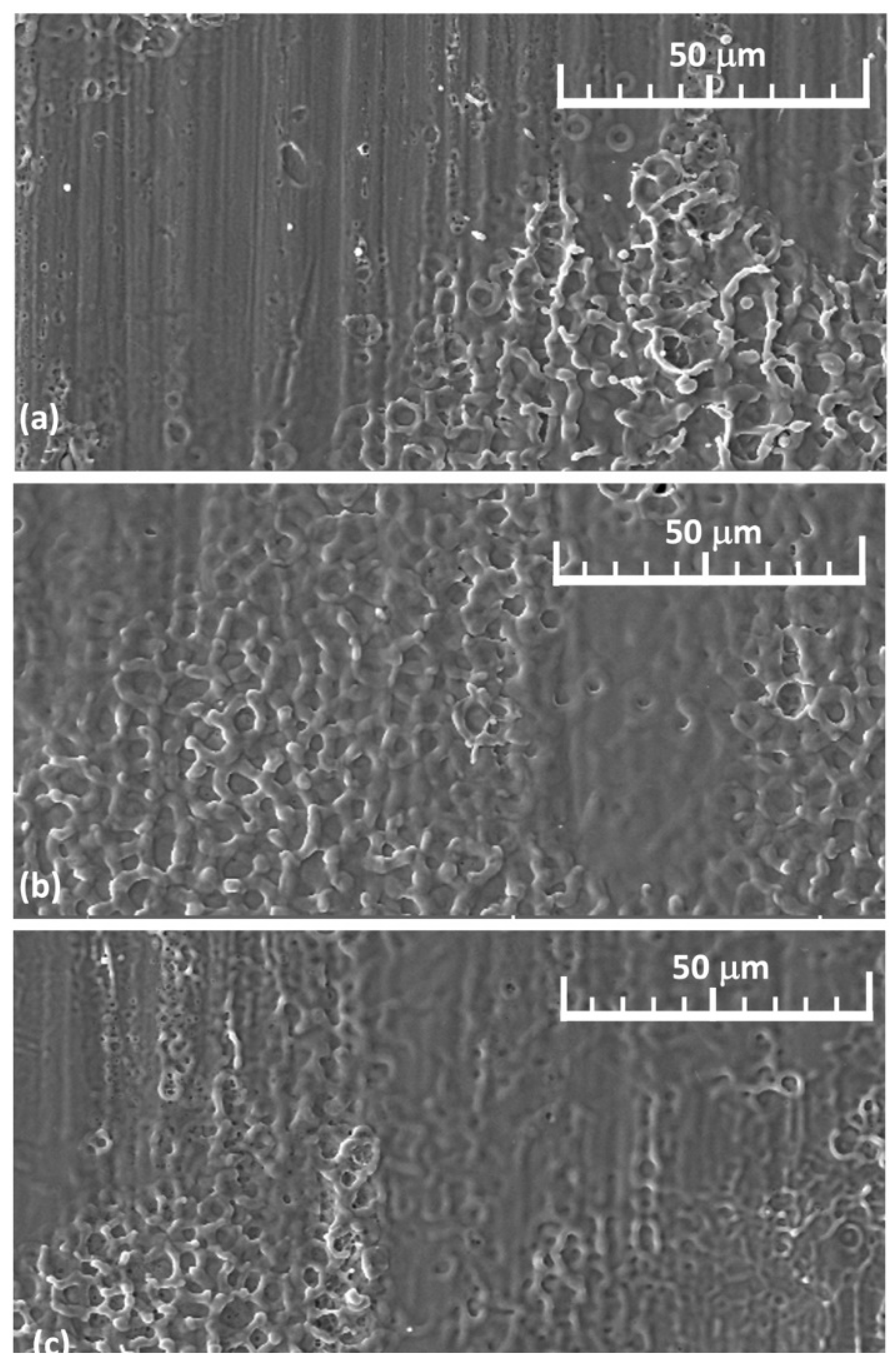 Materials 14 03485 g0a1