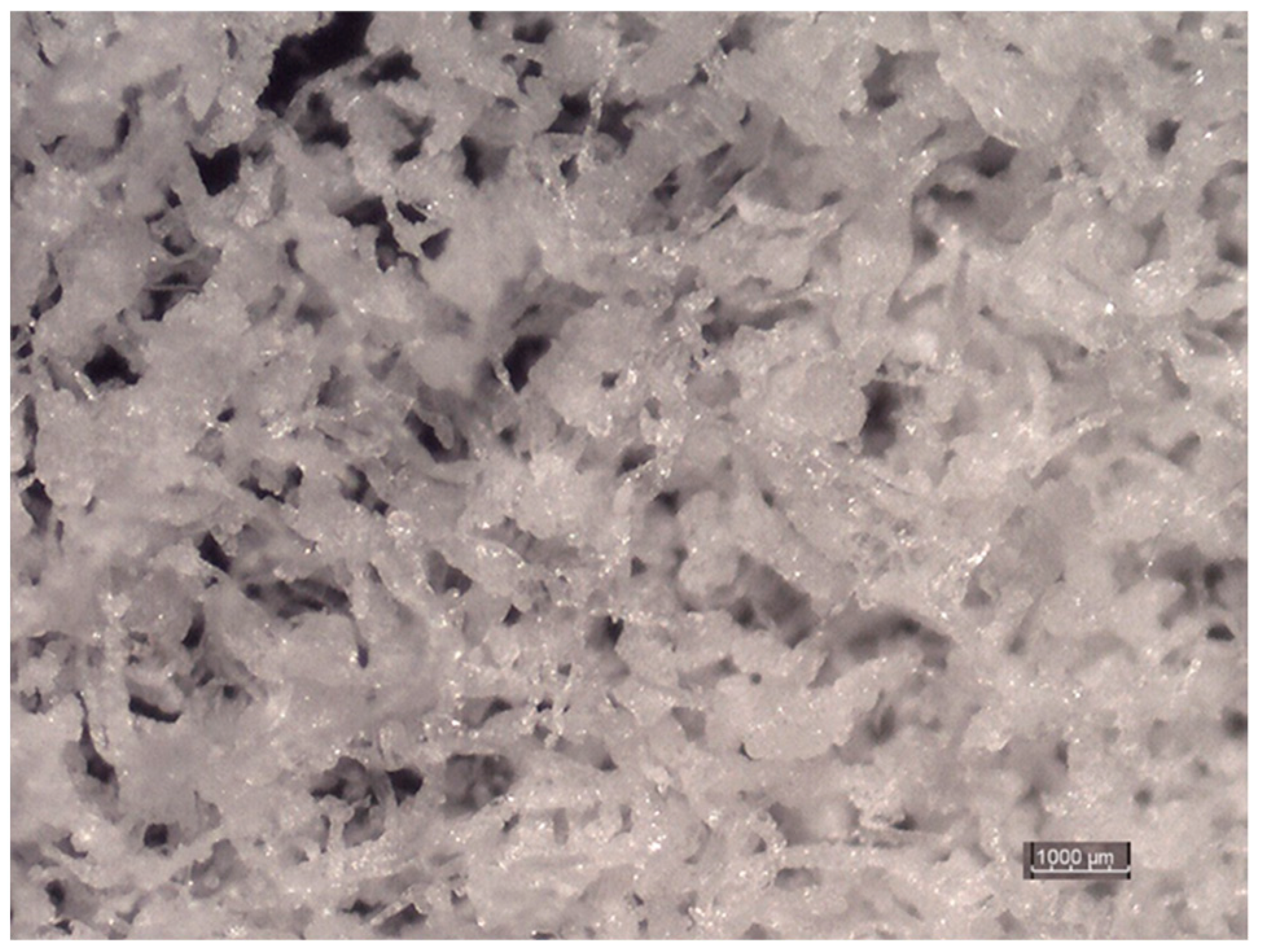 Materials 14 03486 g003