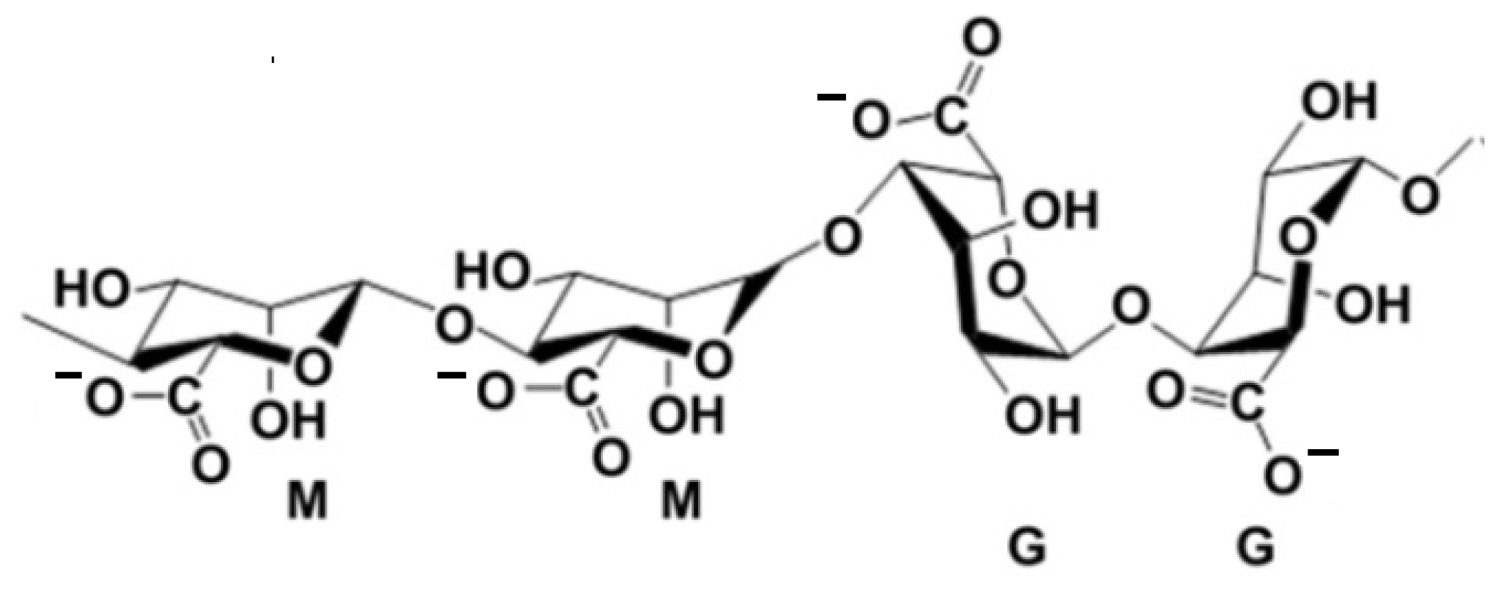 Materials 14 03495 g001