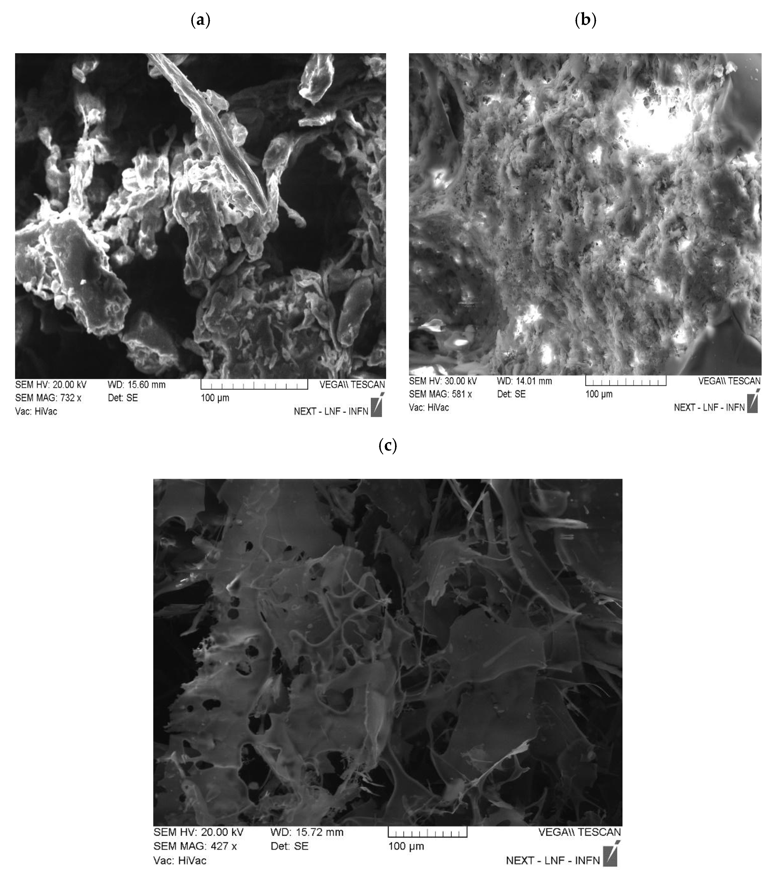 Materials 14 03495 g003