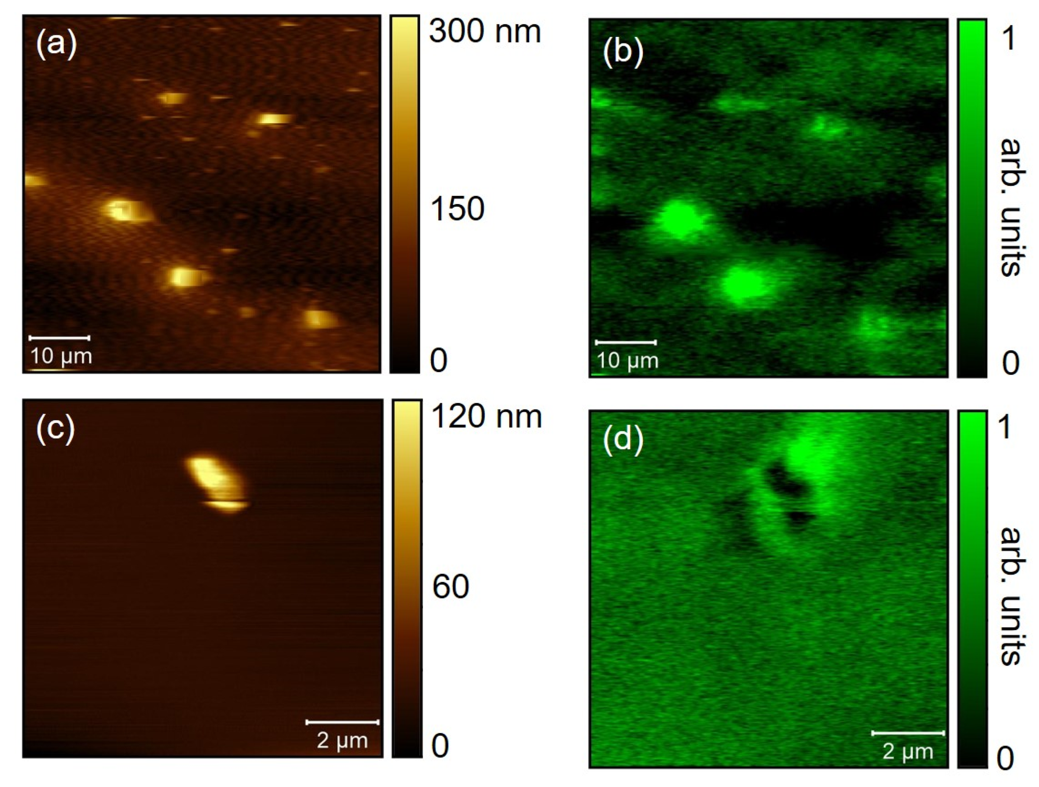 Materials 14 03495 g012