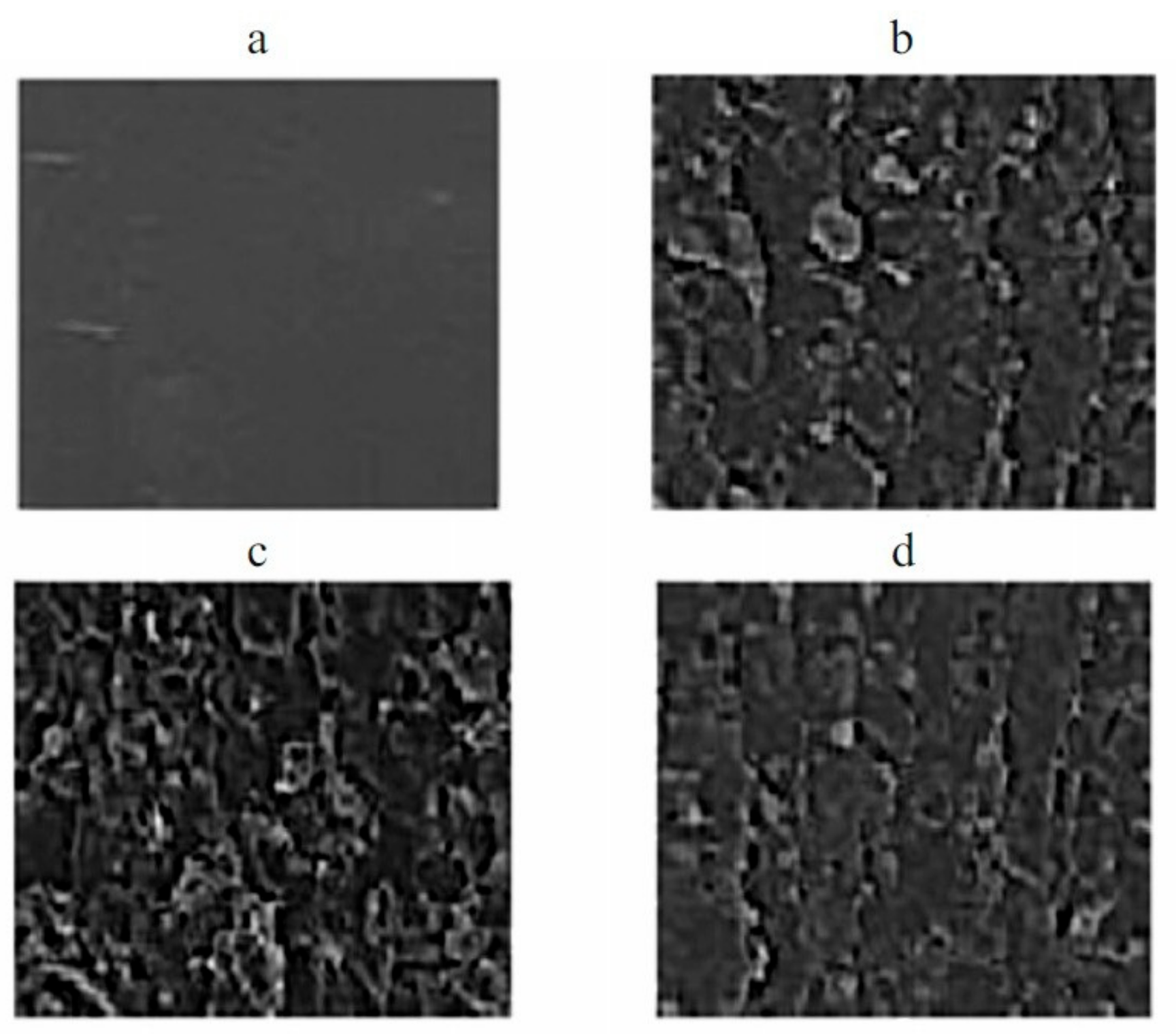 Materials 14 03497 g004