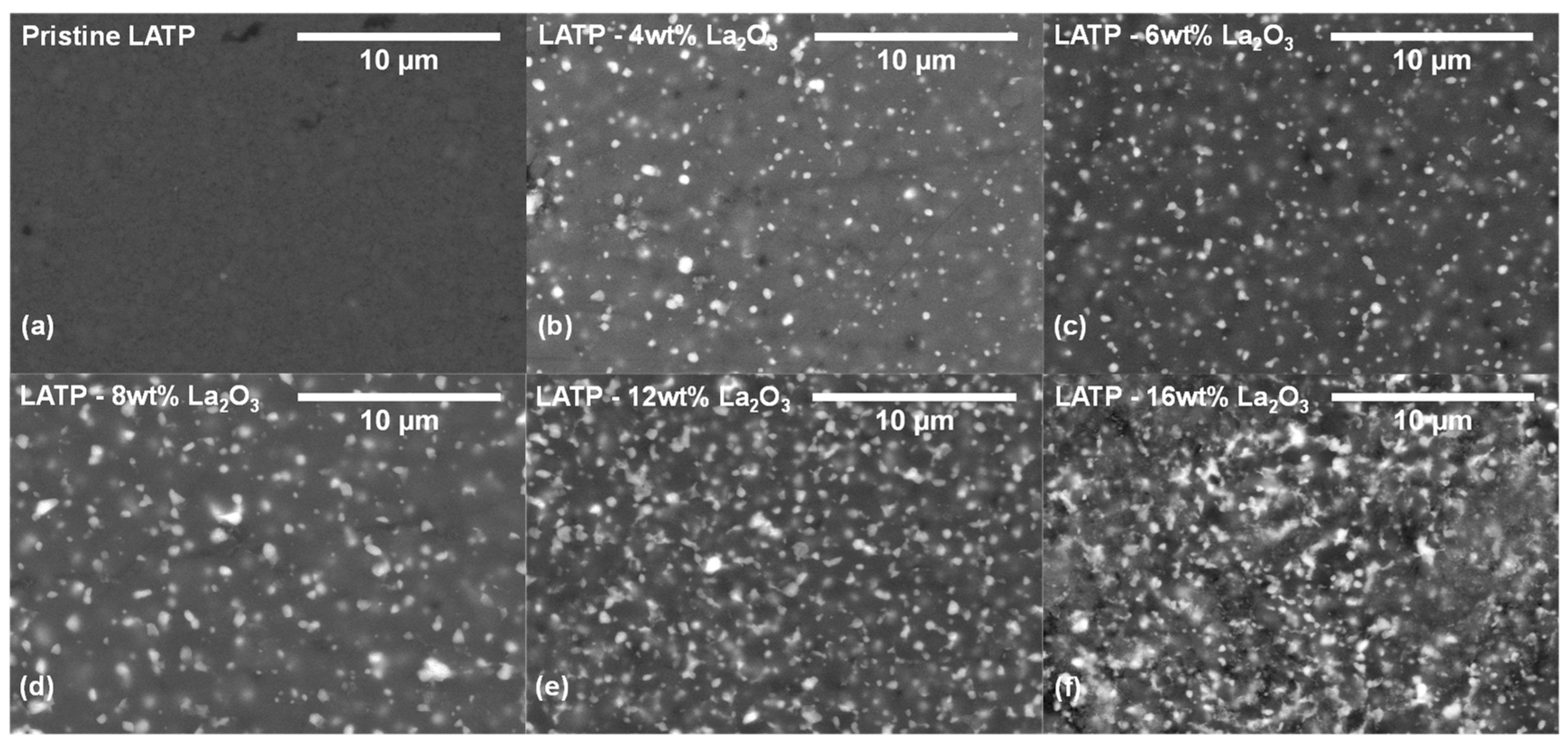 Materials 14 03502 g002