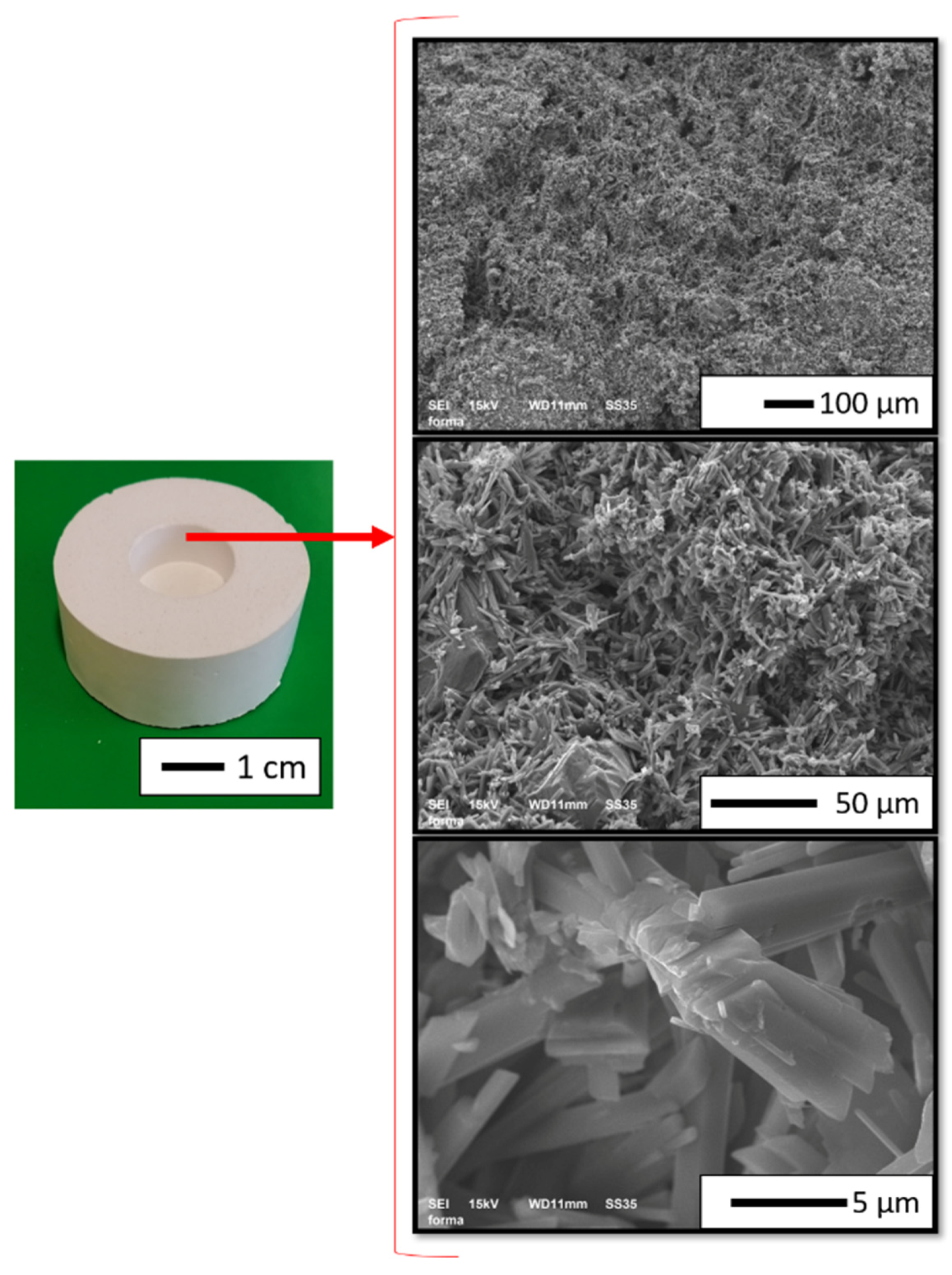 Materials 14 03510 g006