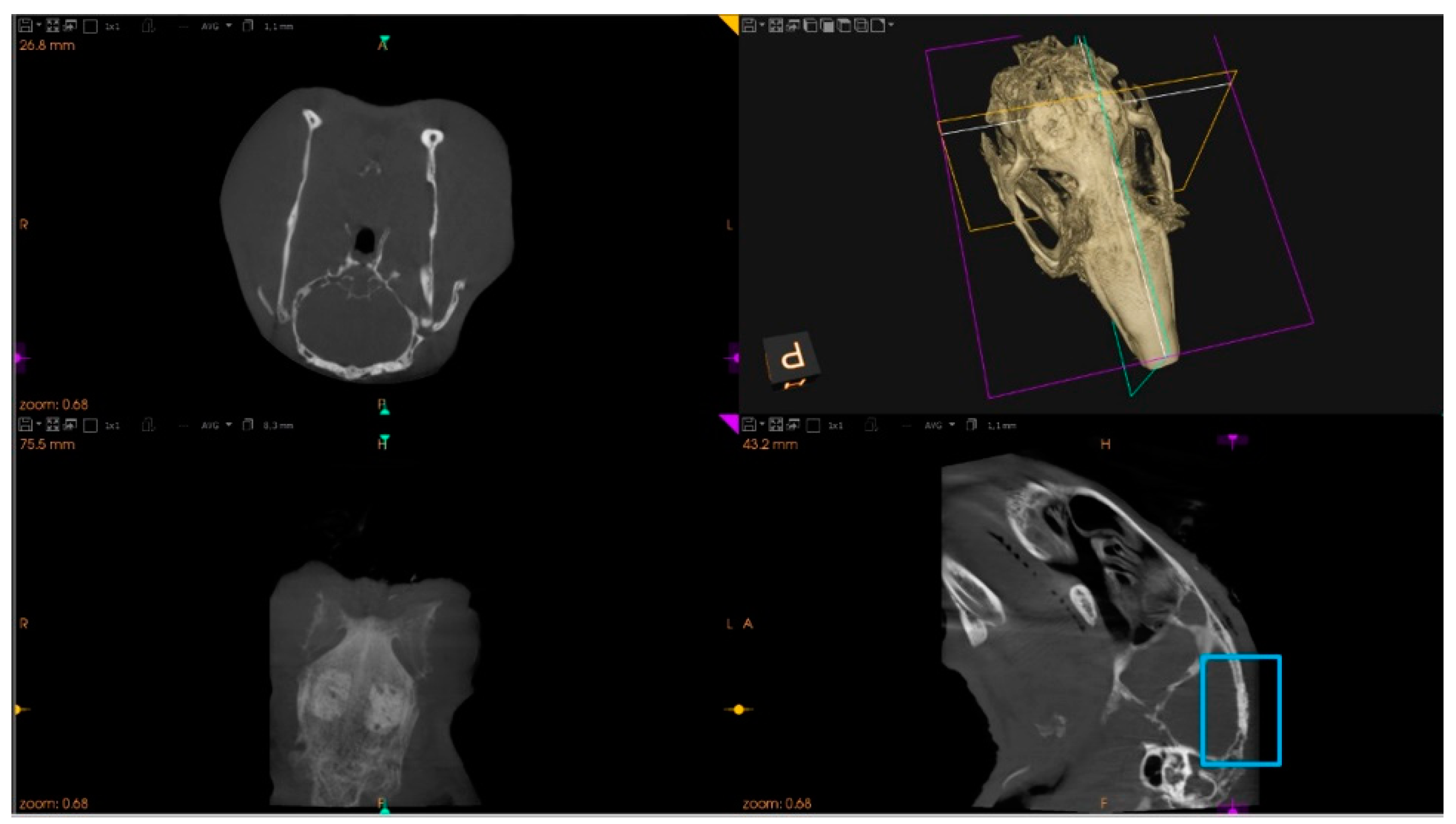 Materials 14 03512 g002