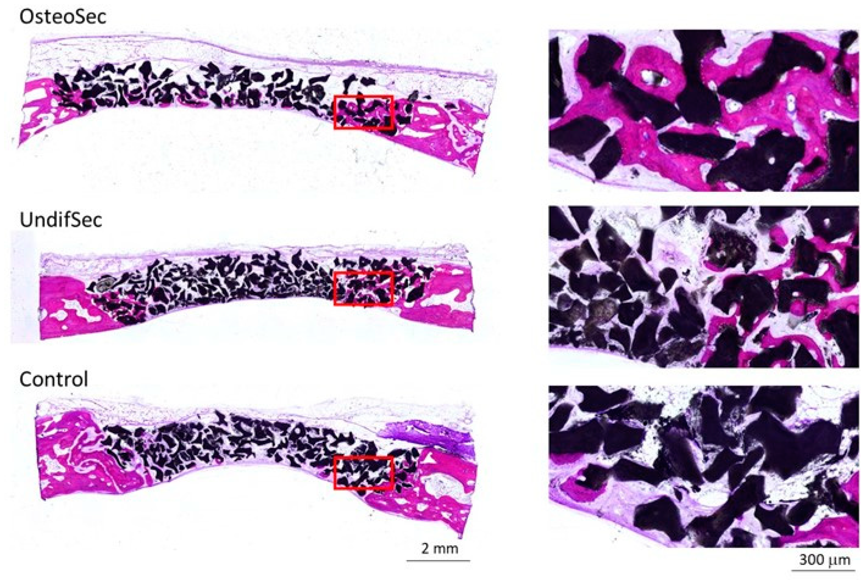 Materials 14 03512 g006