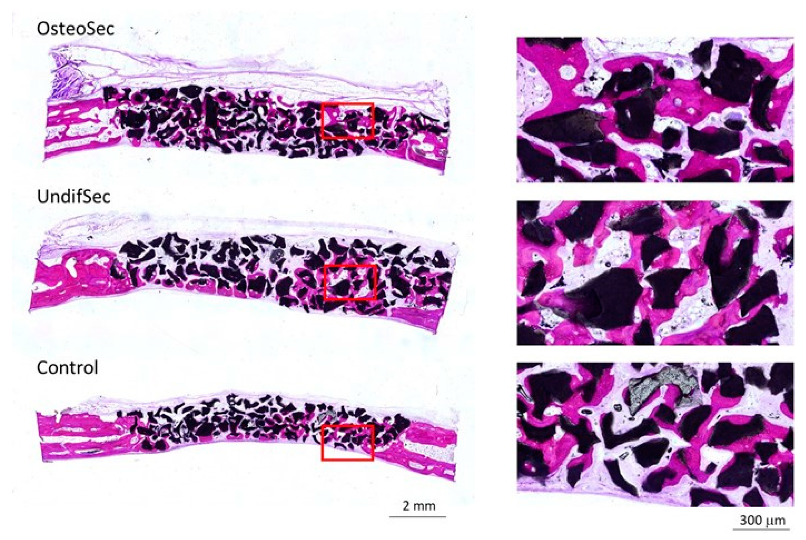 Materials 14 03512 g007